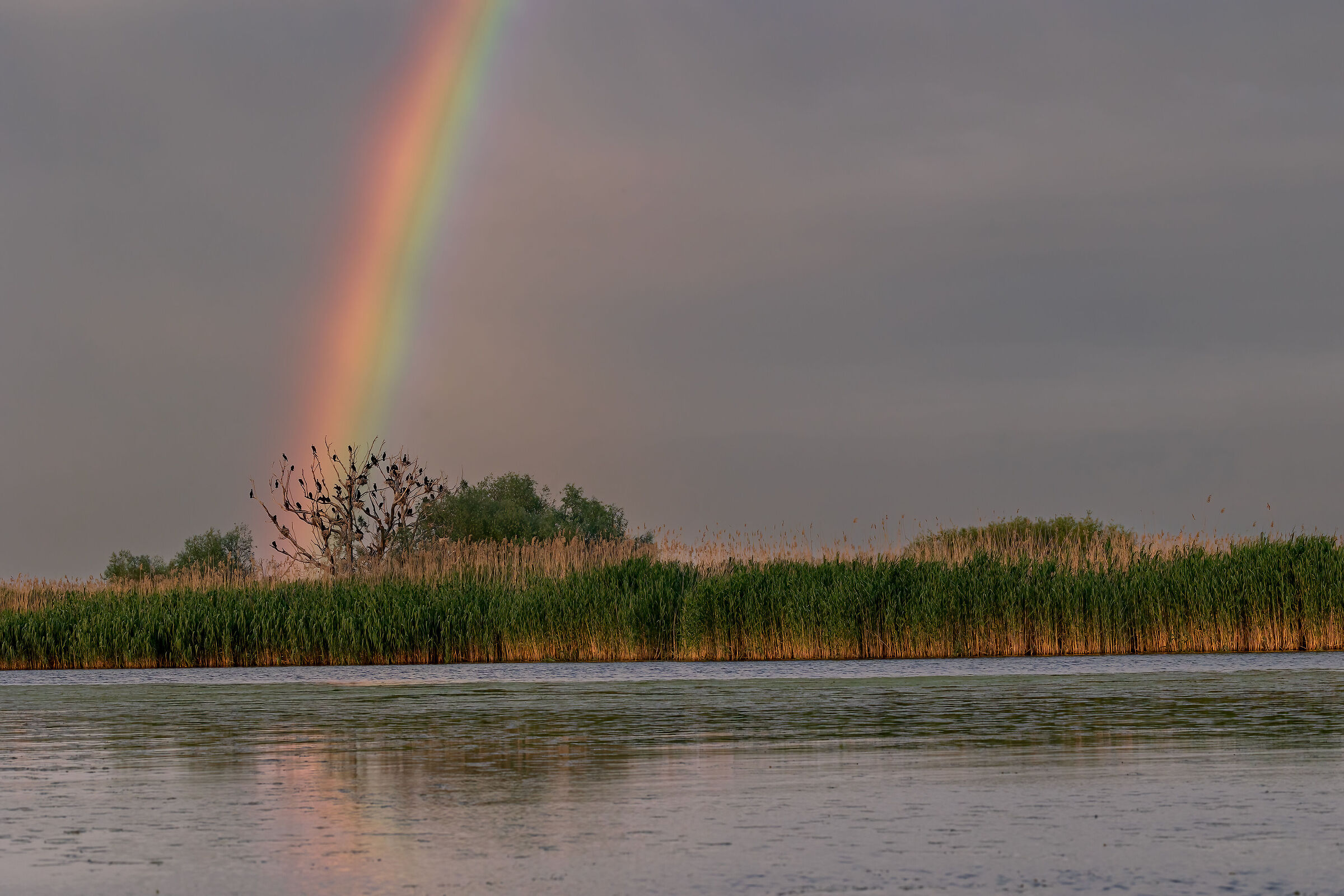 United colors of Dunari delta