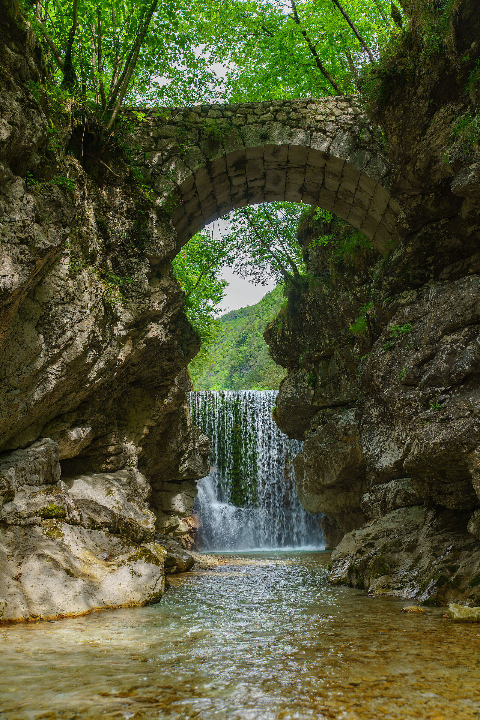 Repepeit e vecchio ponte