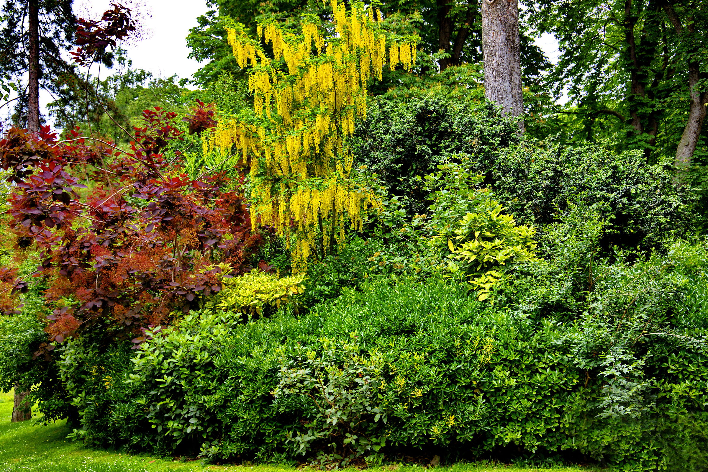 Giardini di luxemburgo