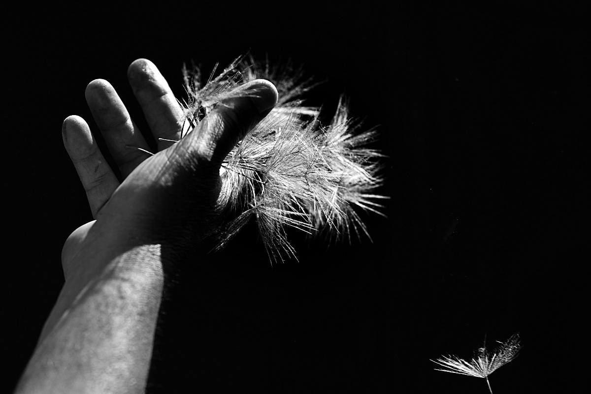 Free the lightness ...