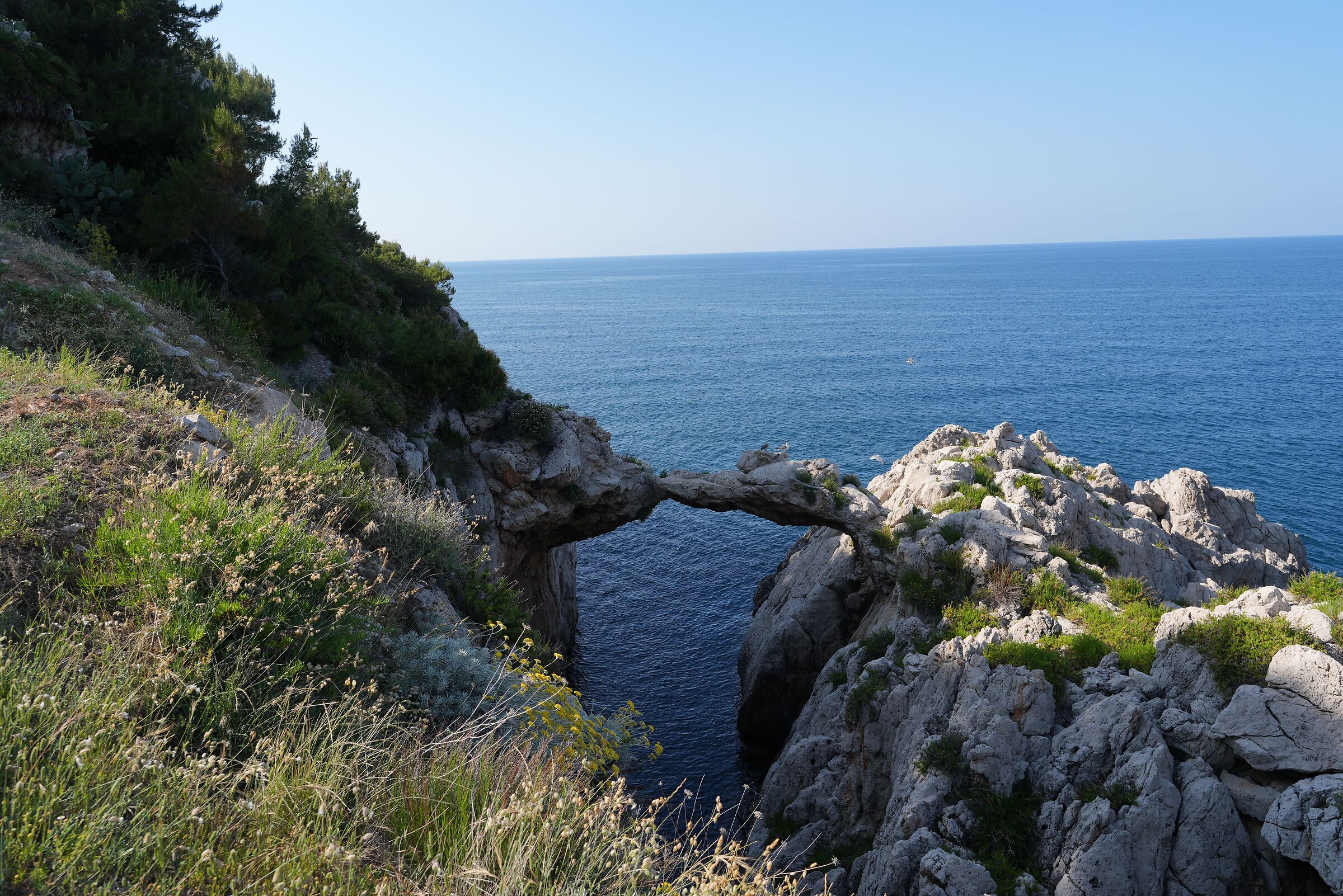 Arco Azzurro Capo Zafferano