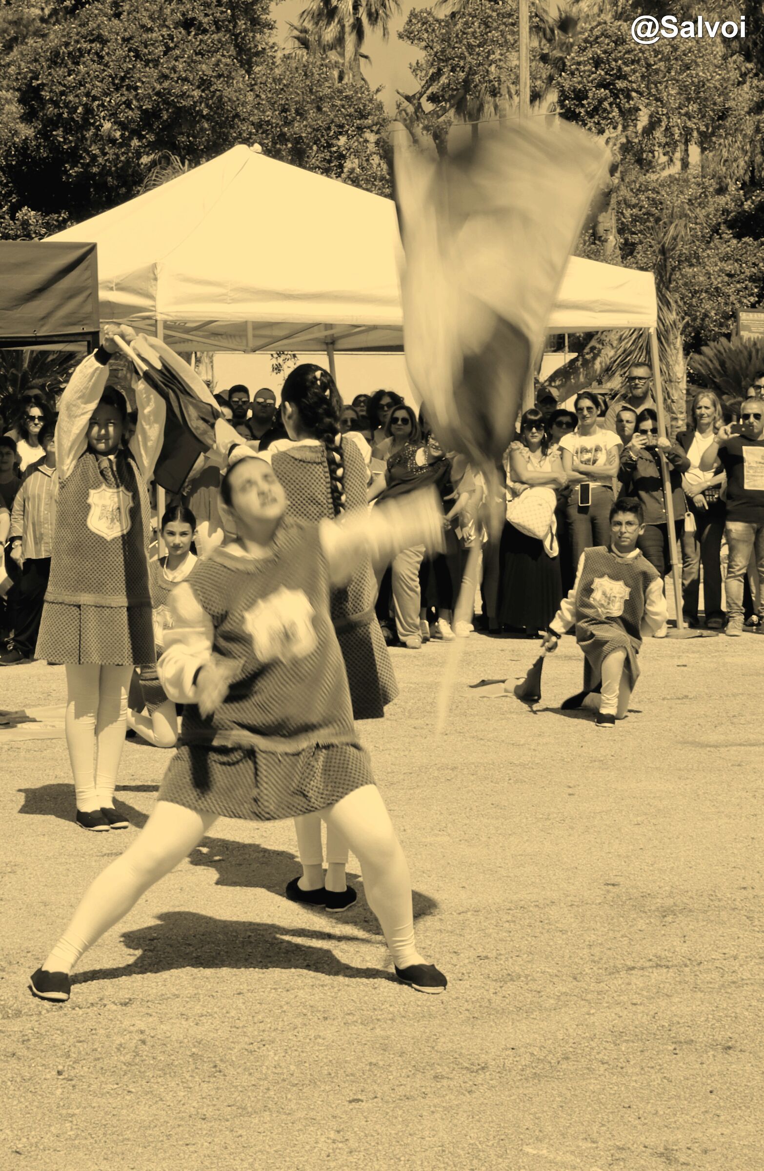 Small flag-wavers