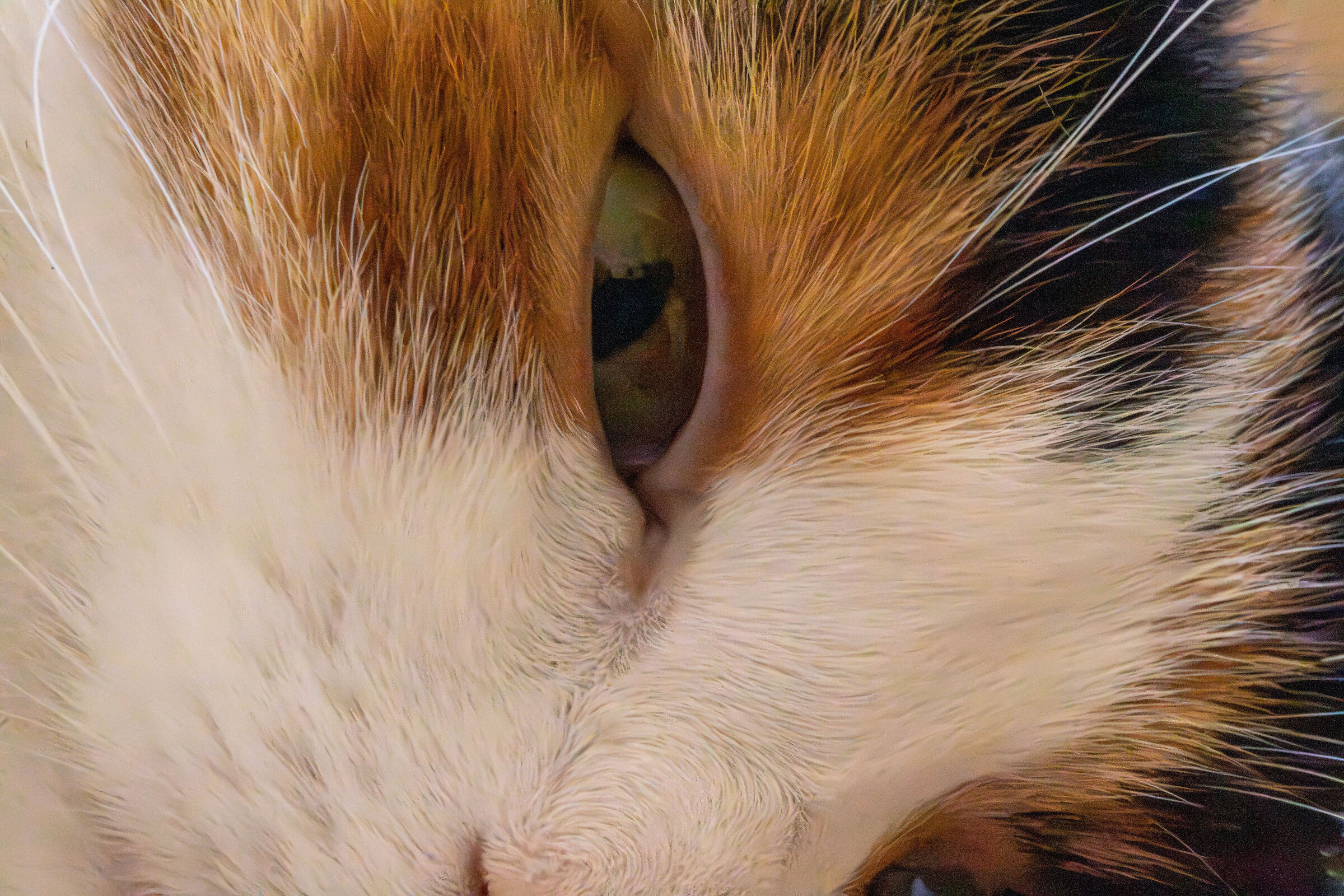 Lola e il denoise estremo 3