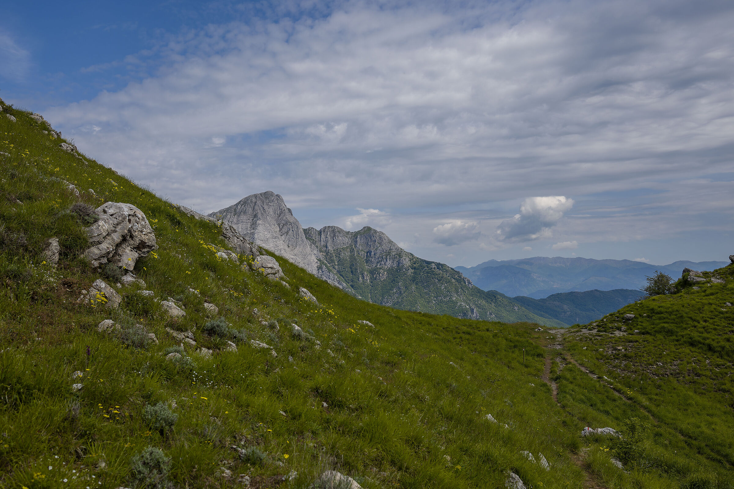 Small window on the Pania.
