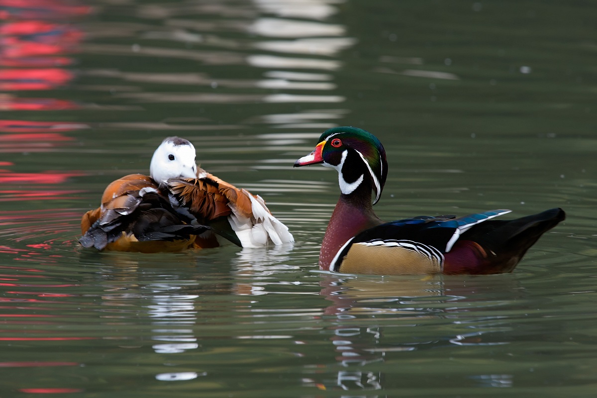 Incontro in luogo magico...