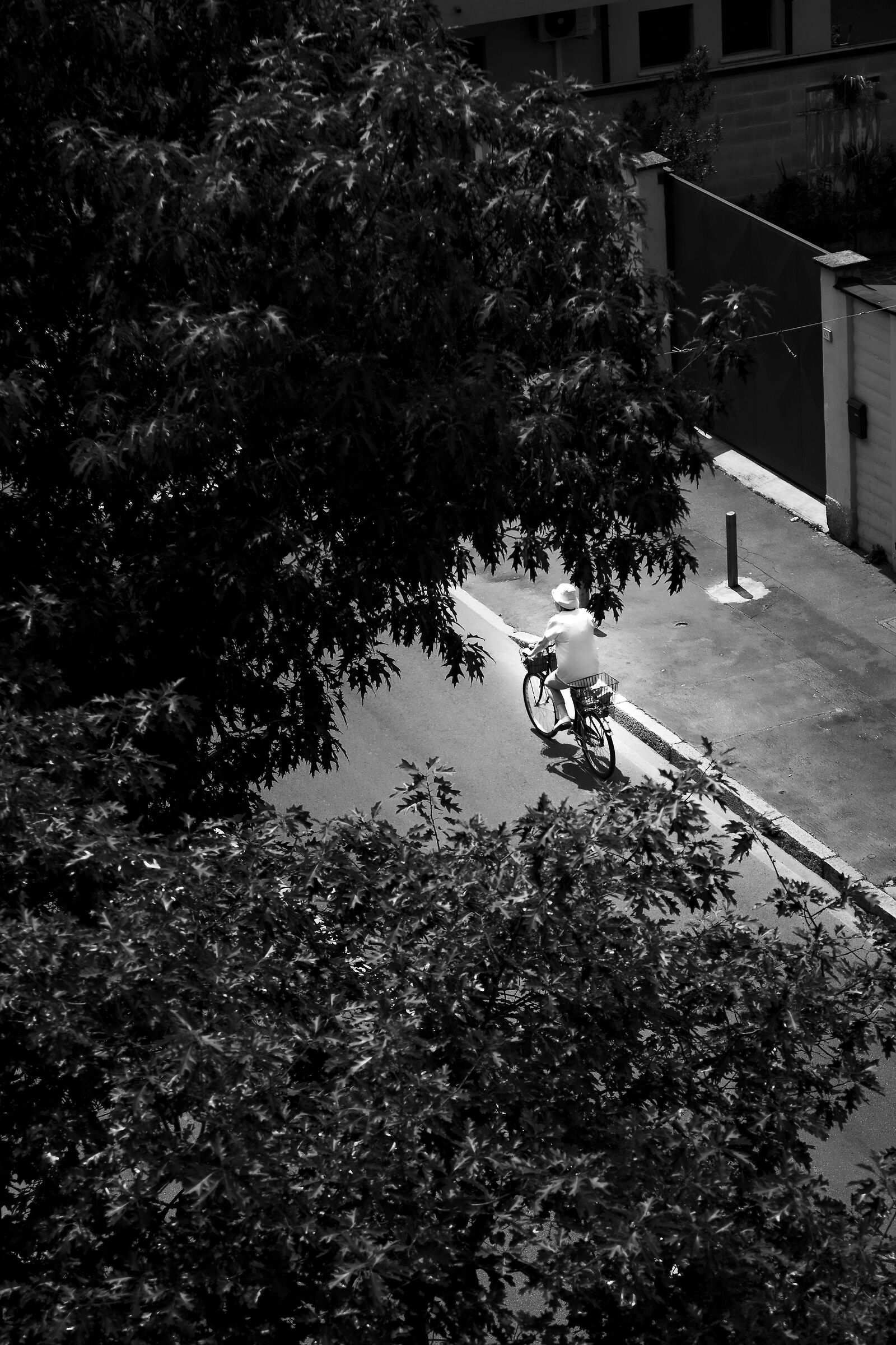 Untitled Photo