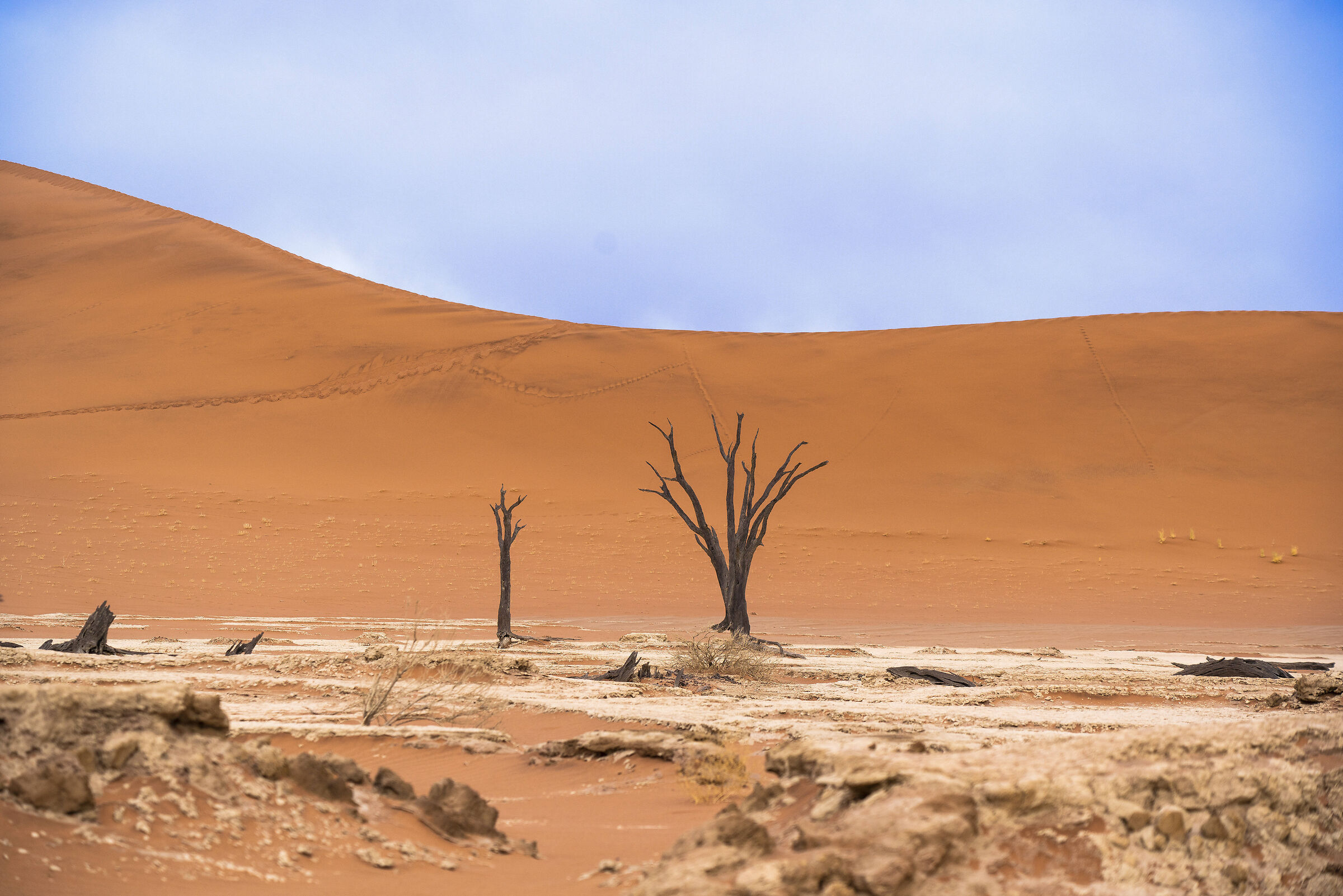 contrasti del tempo. Namibia