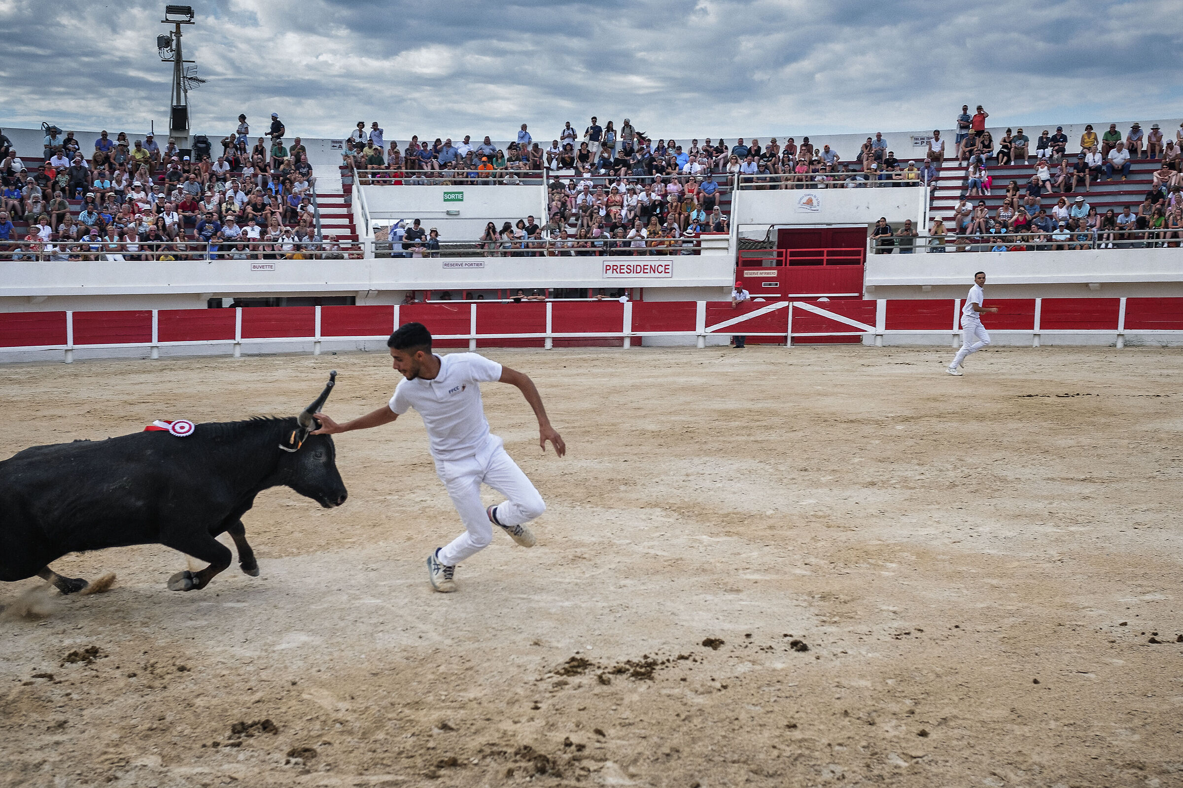 Camargue bullfighting