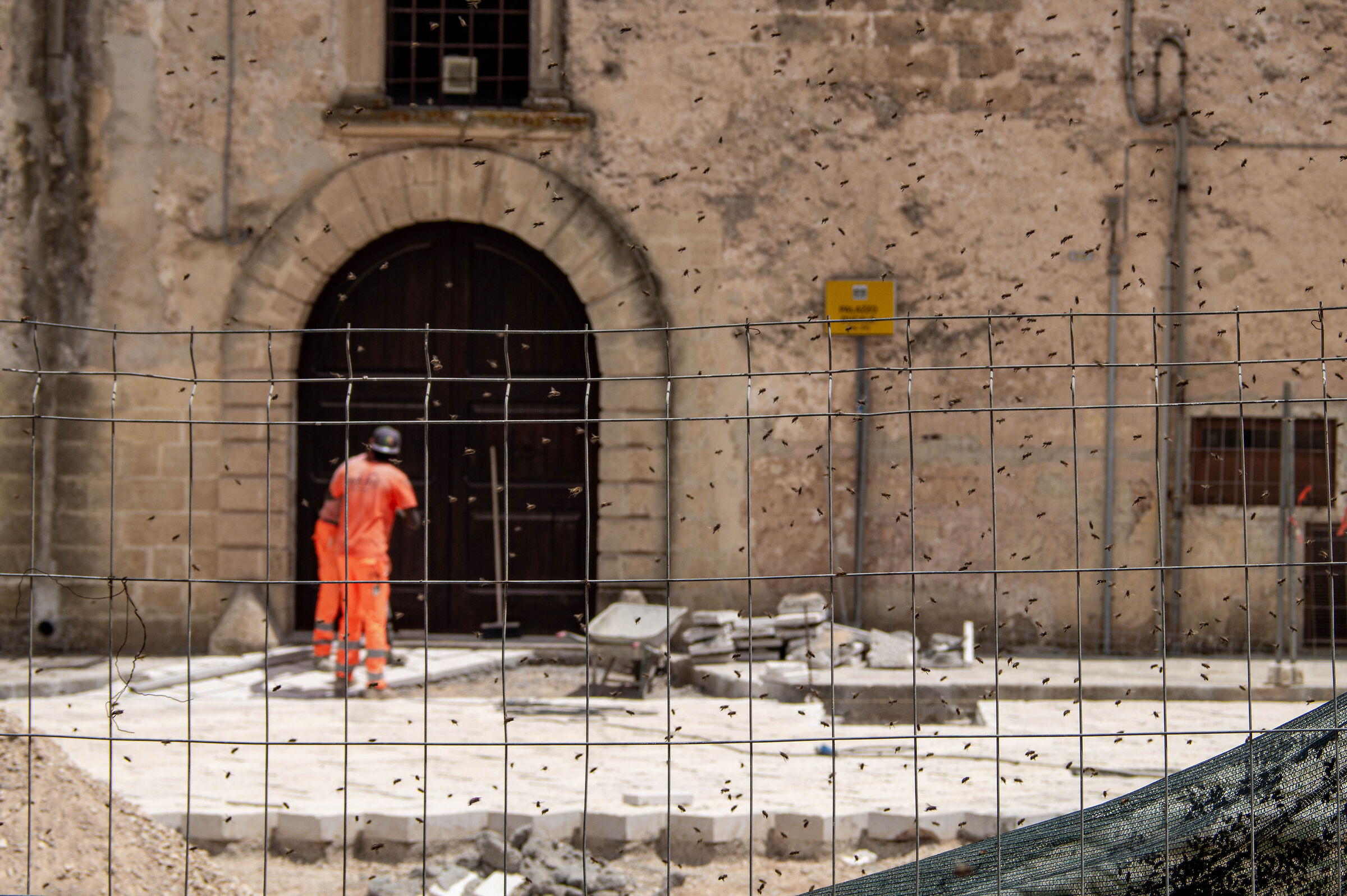 Api in cantiere