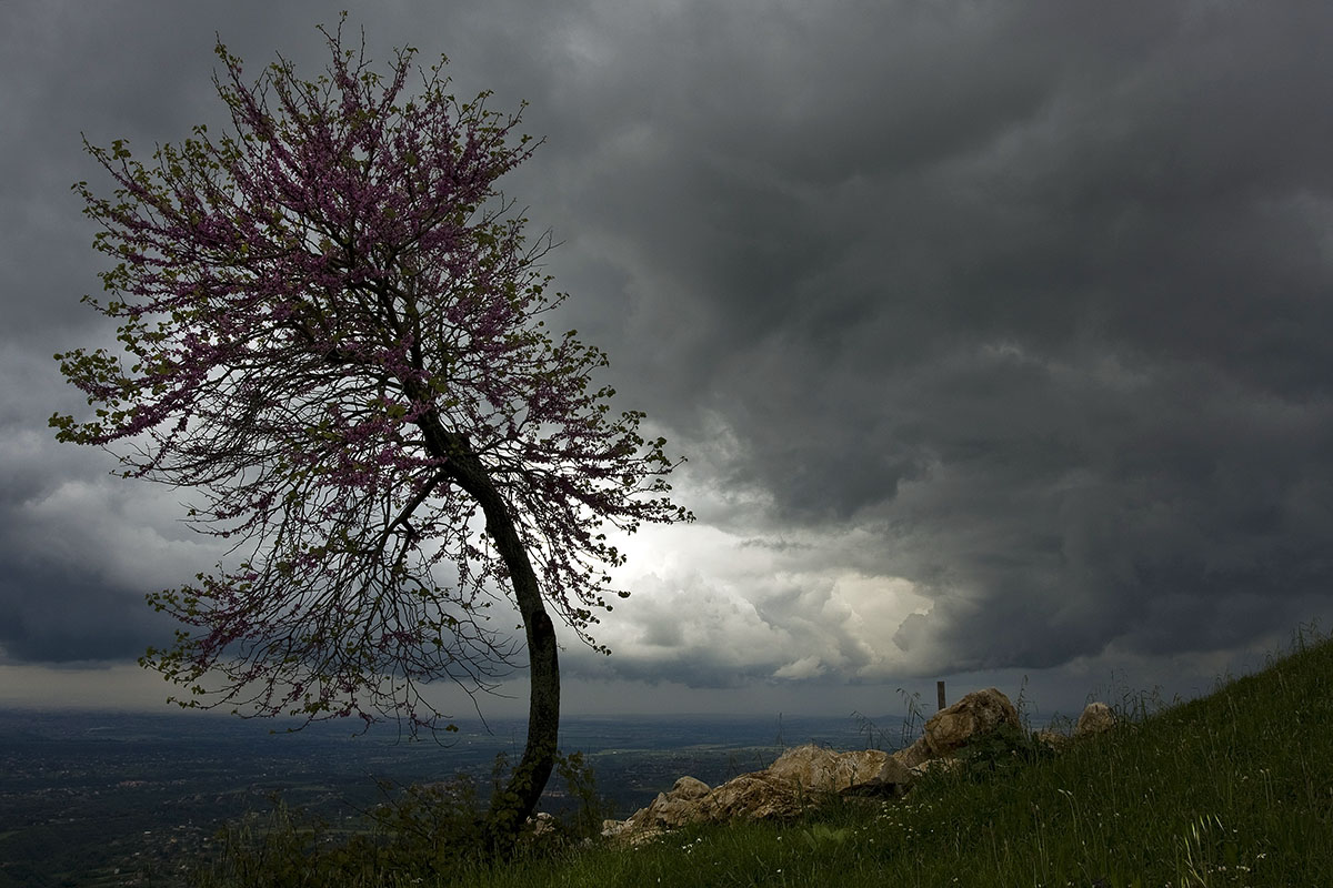La bella stagione tarda ad arrivare.