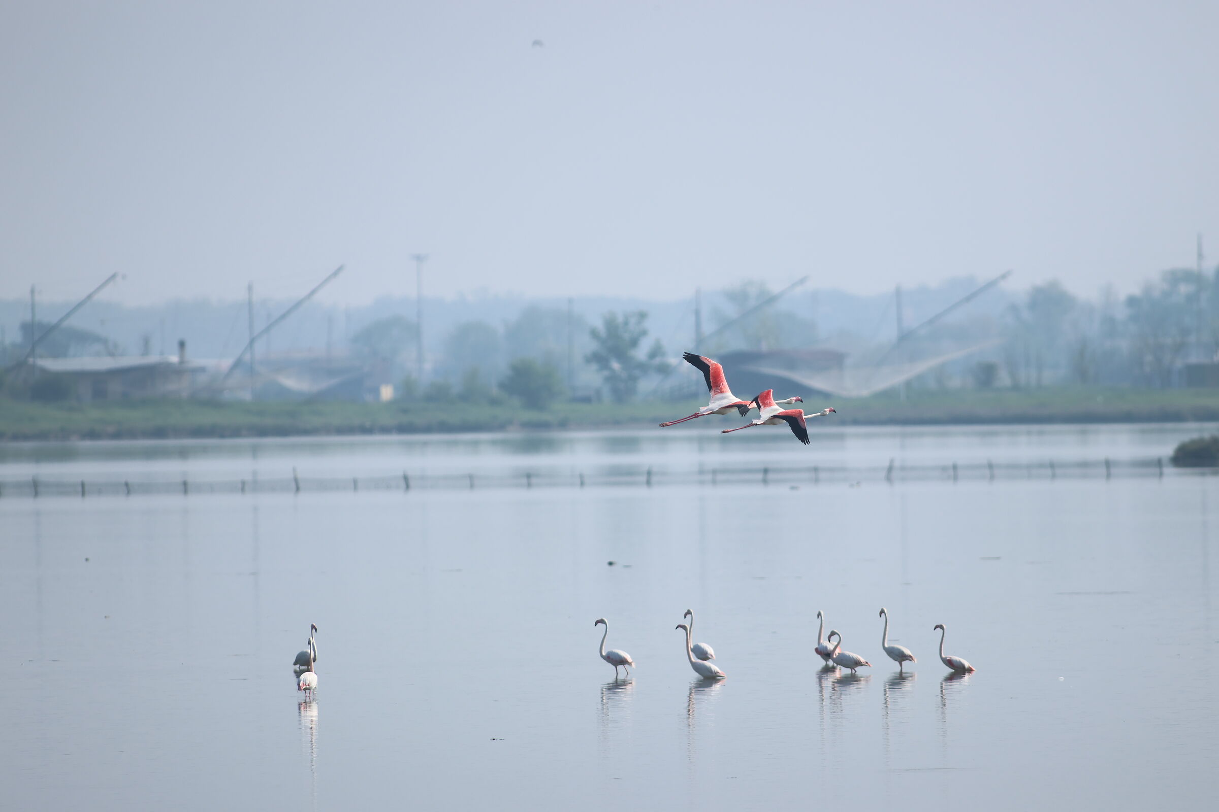 Rosso-Neri Siamo noi Ma Chi c.......  Siete Voi????