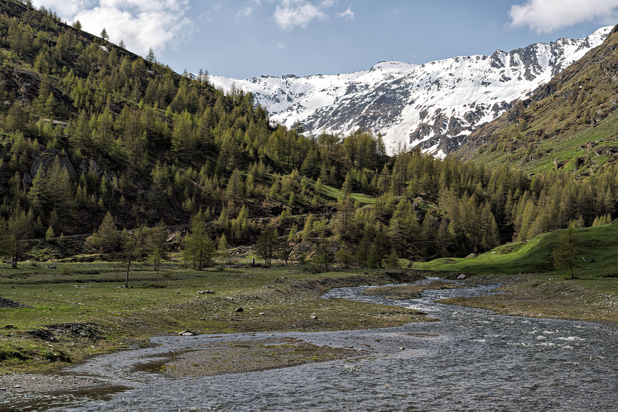 Le Sorgenti della Dora Riparia