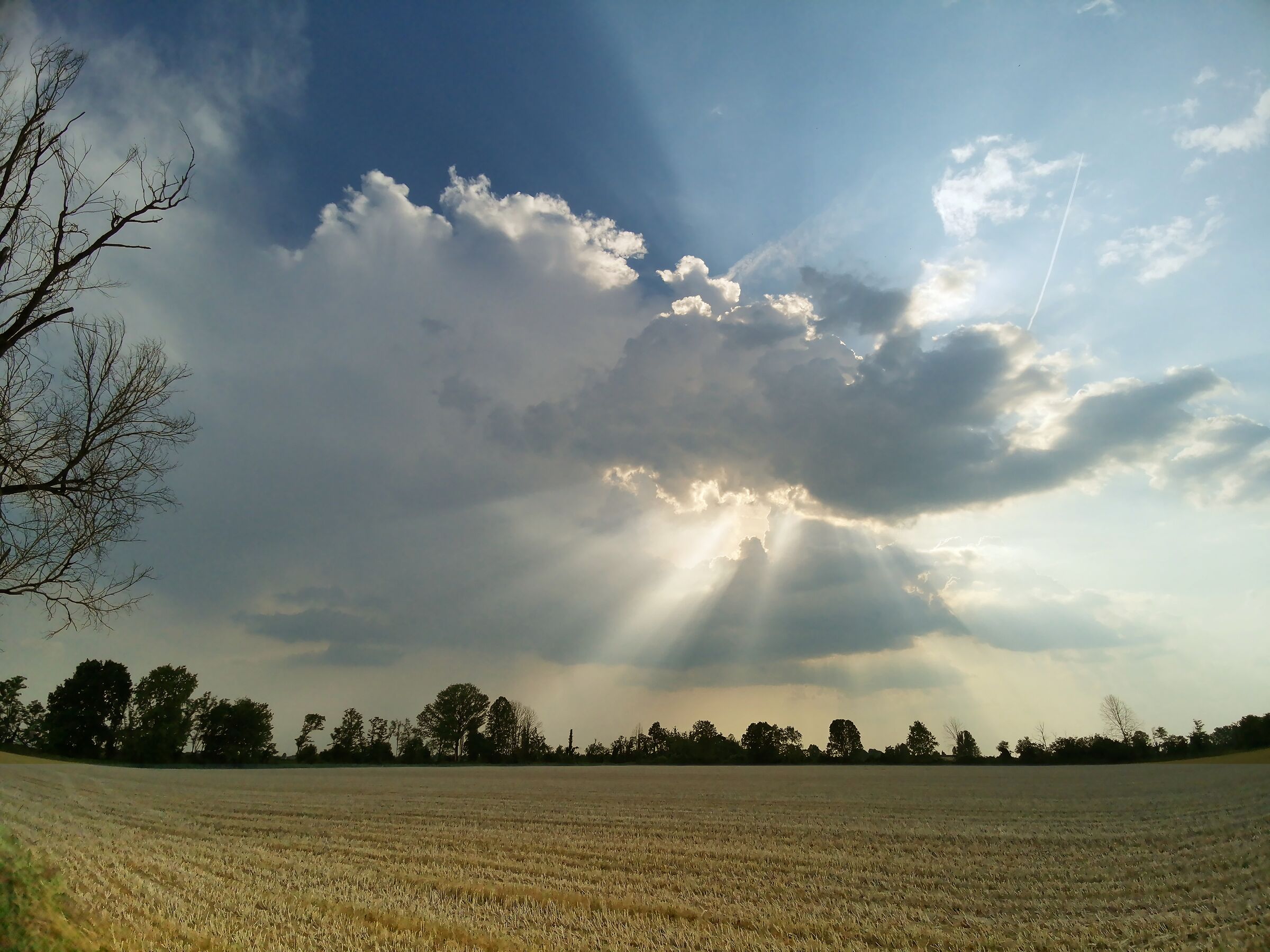 Tardo pomeriggio d'inizio giugno