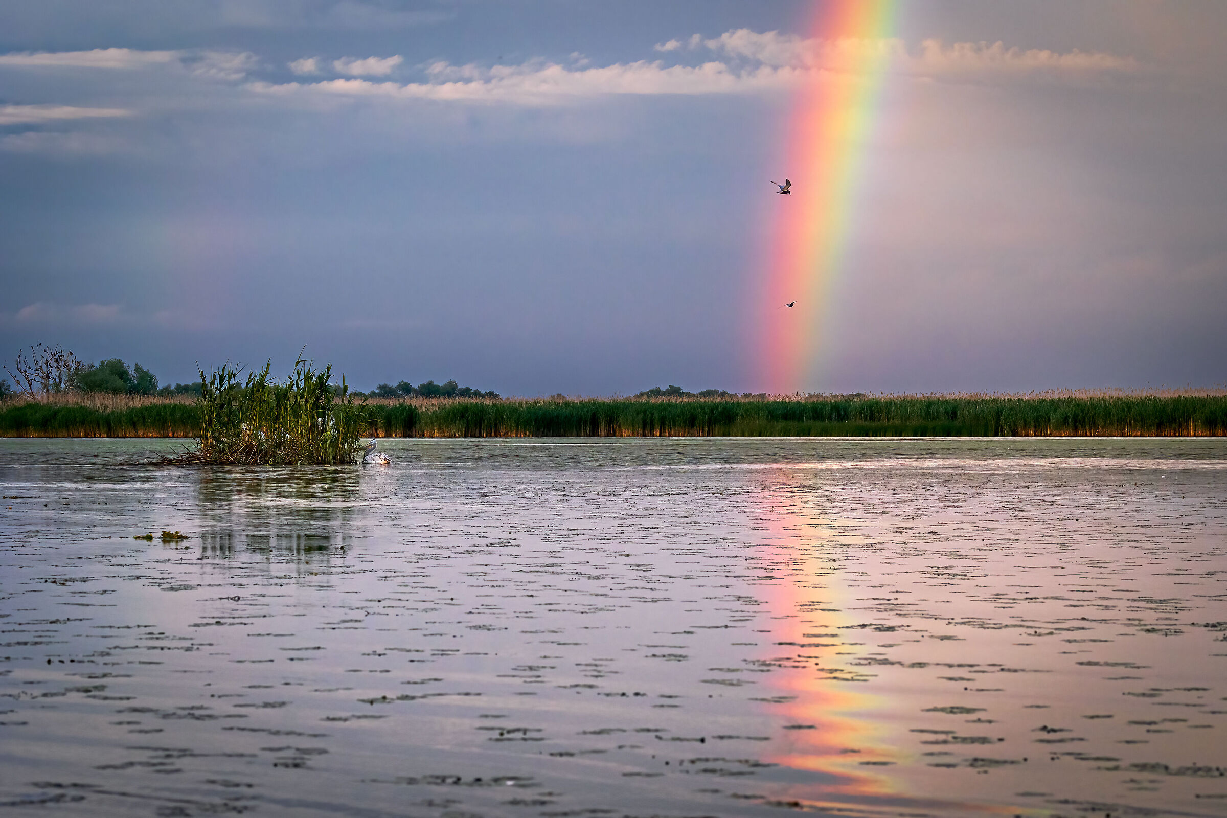 Somewhere over the rainbow....