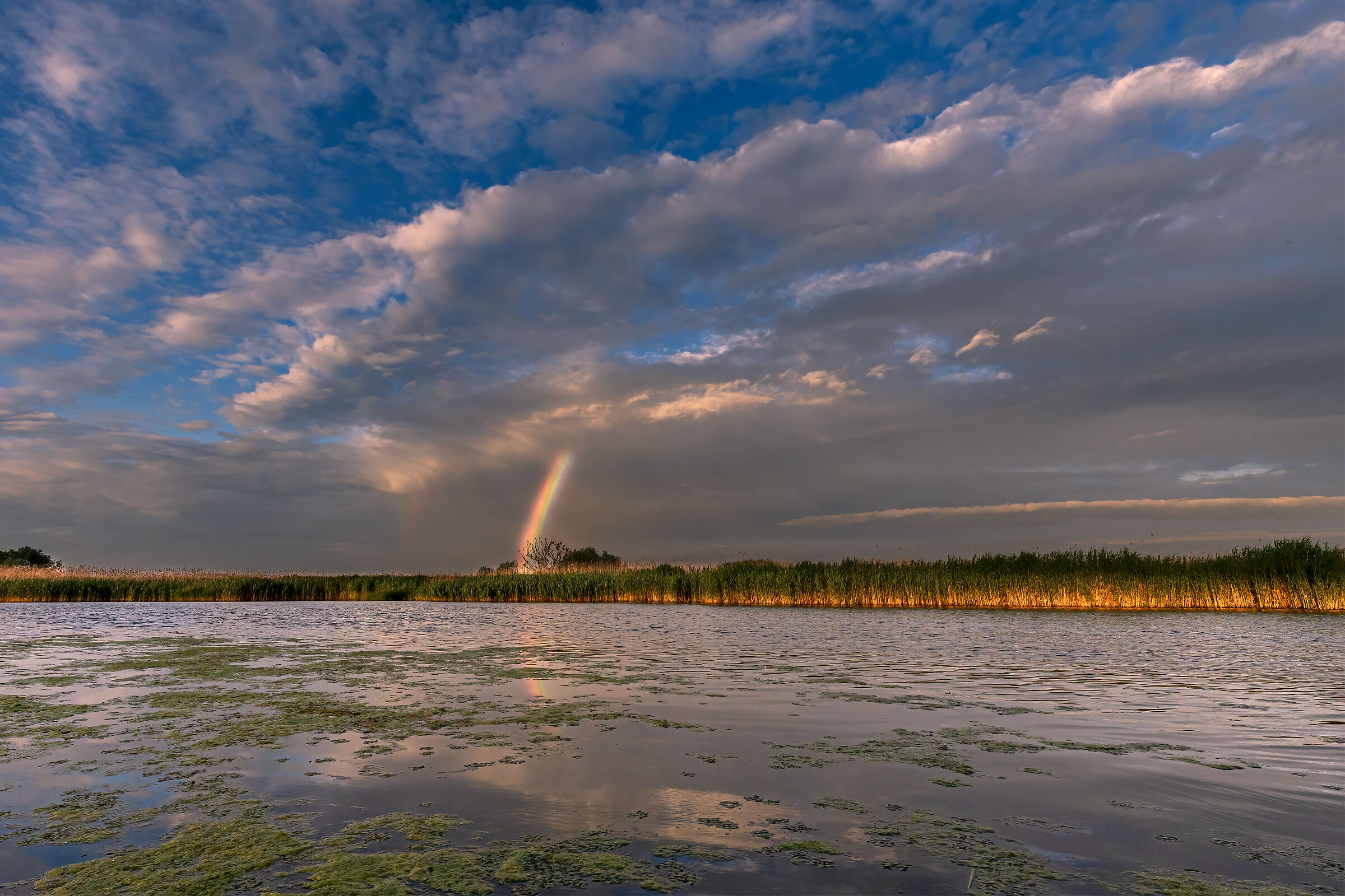 Somewhere over the rainbow...2