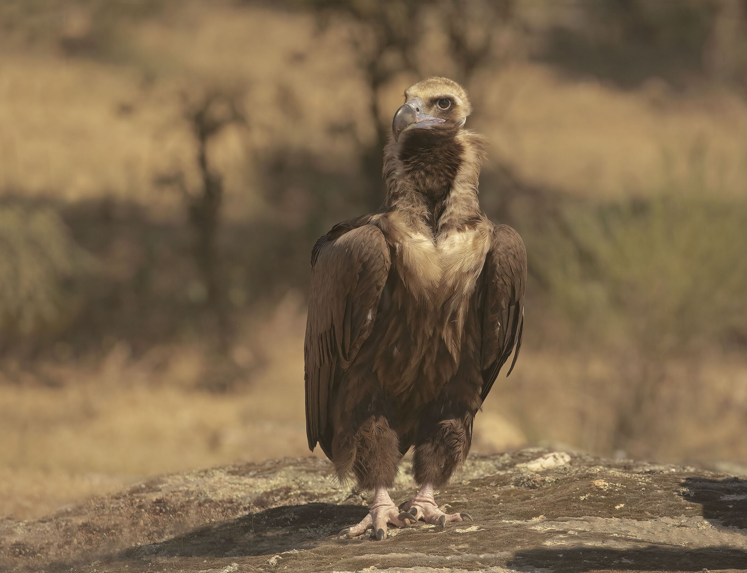elegantone in posa per la foto :-))