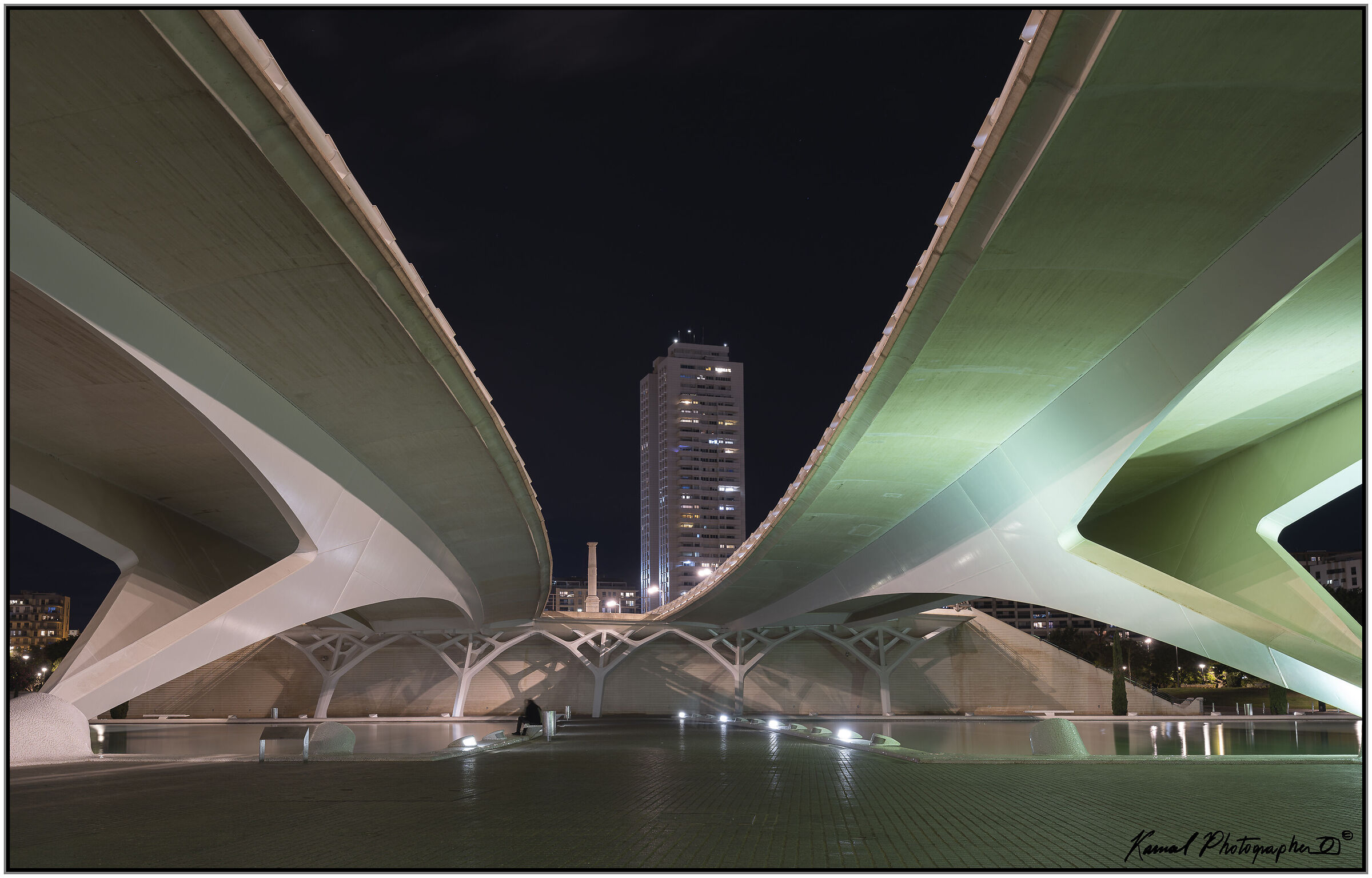 Museo delle Scienze "Principe Felipe" Valencia