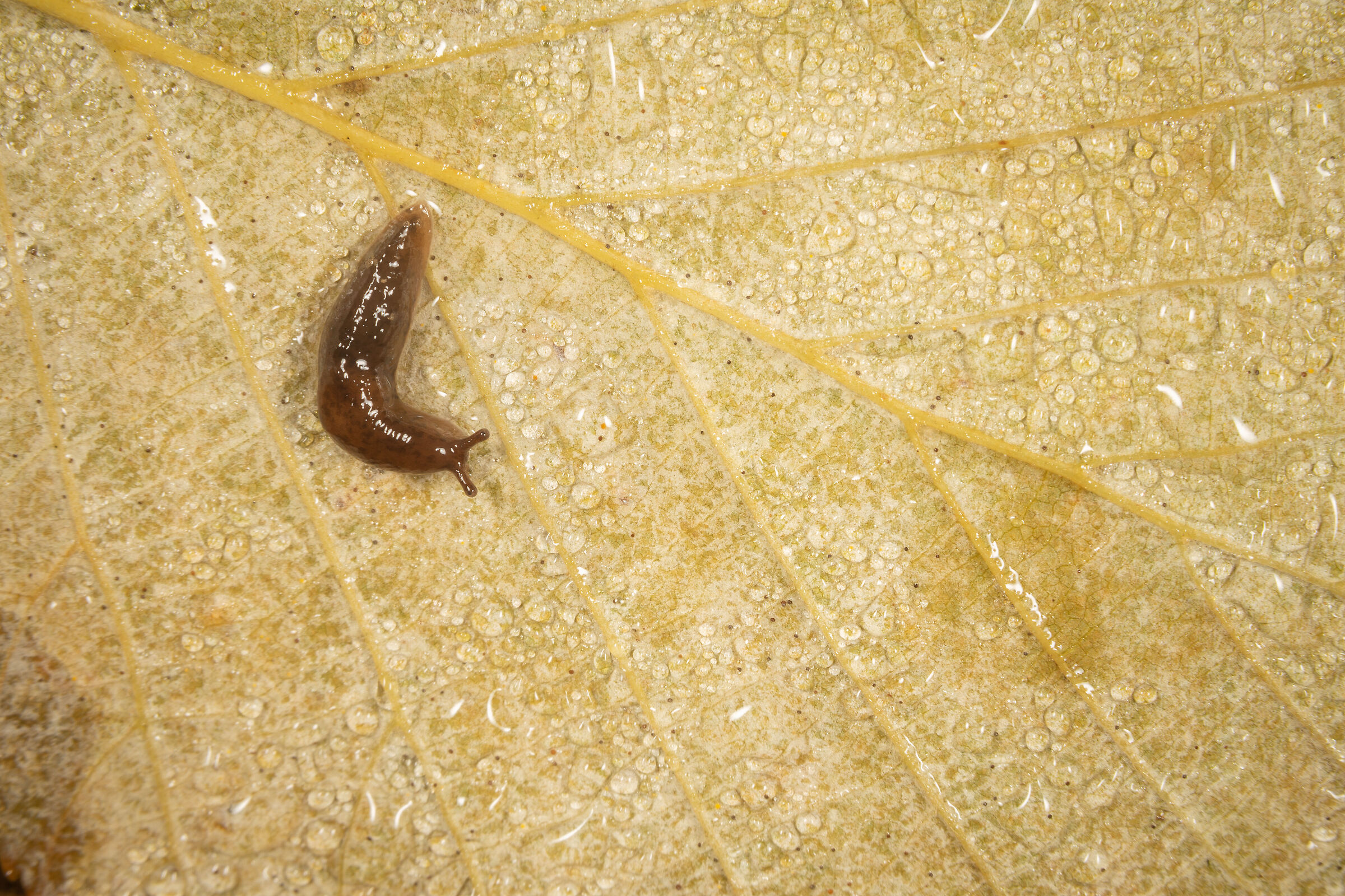 Una fredda mattinata invernale