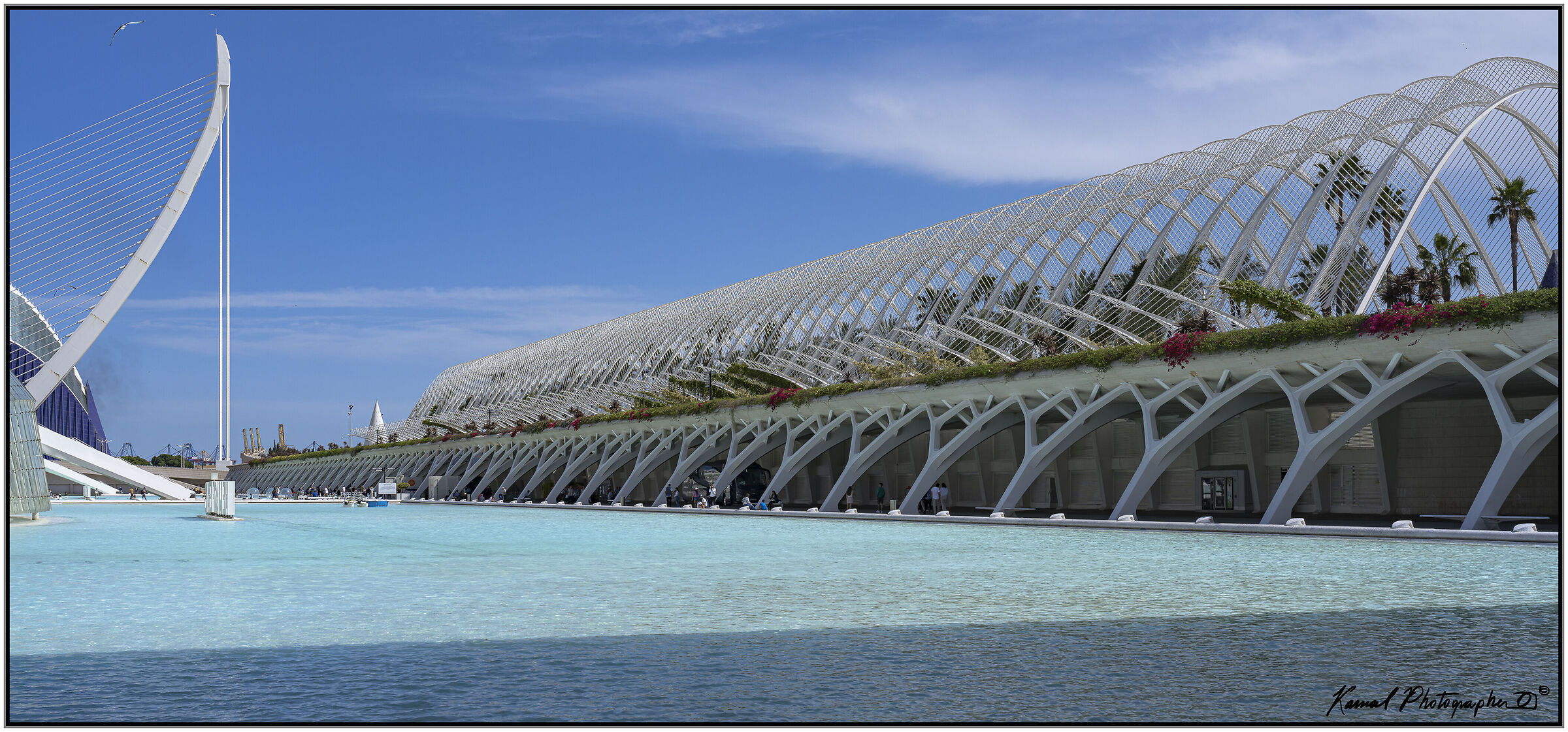 Science Museum "Principe Felipe" Valencia