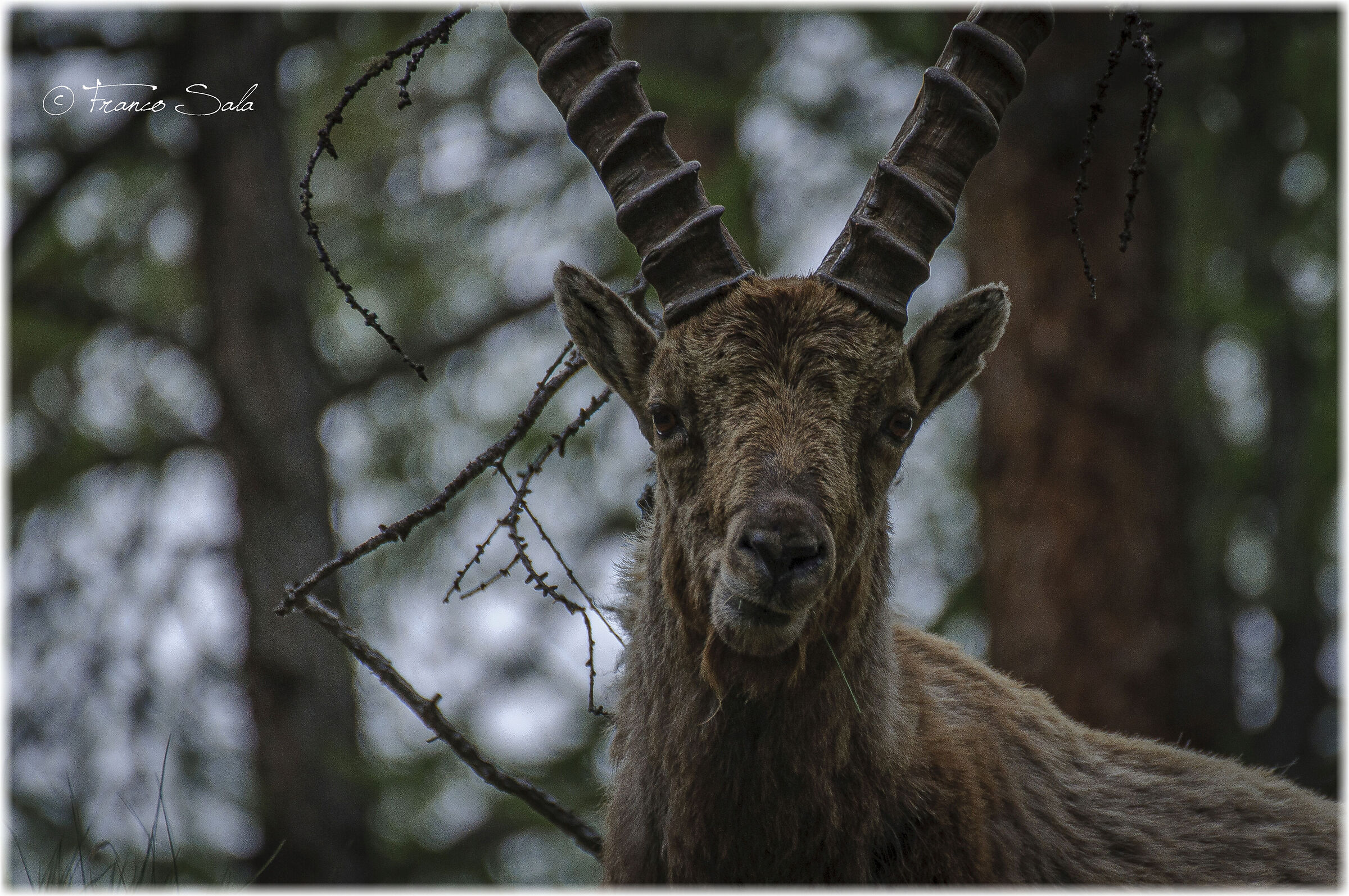 Guardami negli occhi