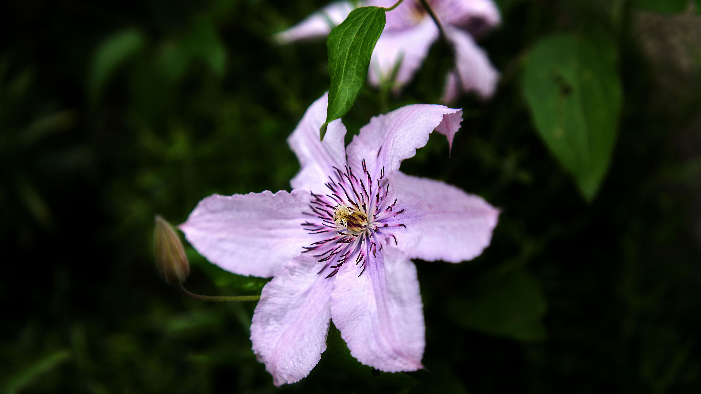 Test 1