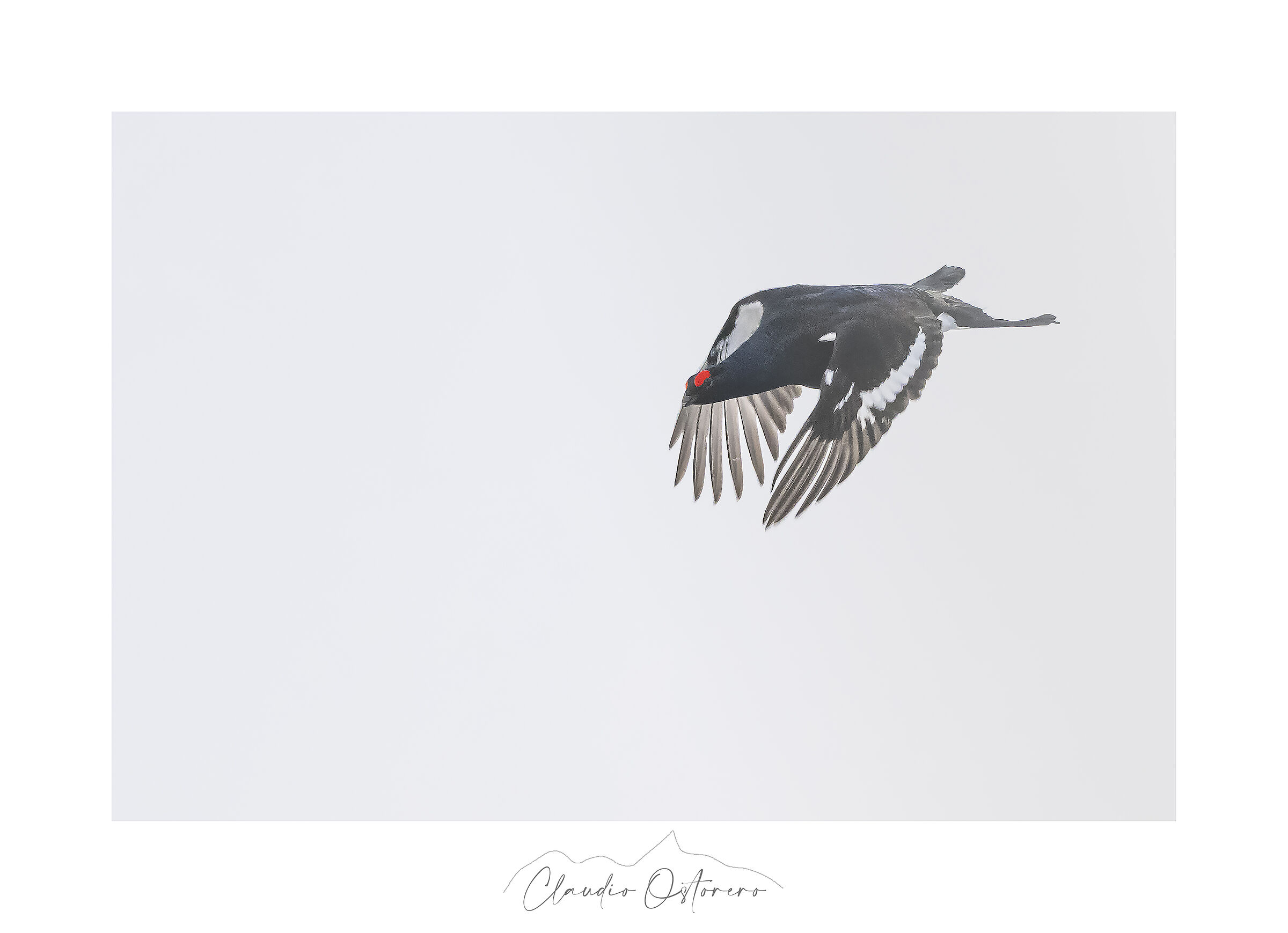 Approach in the arena