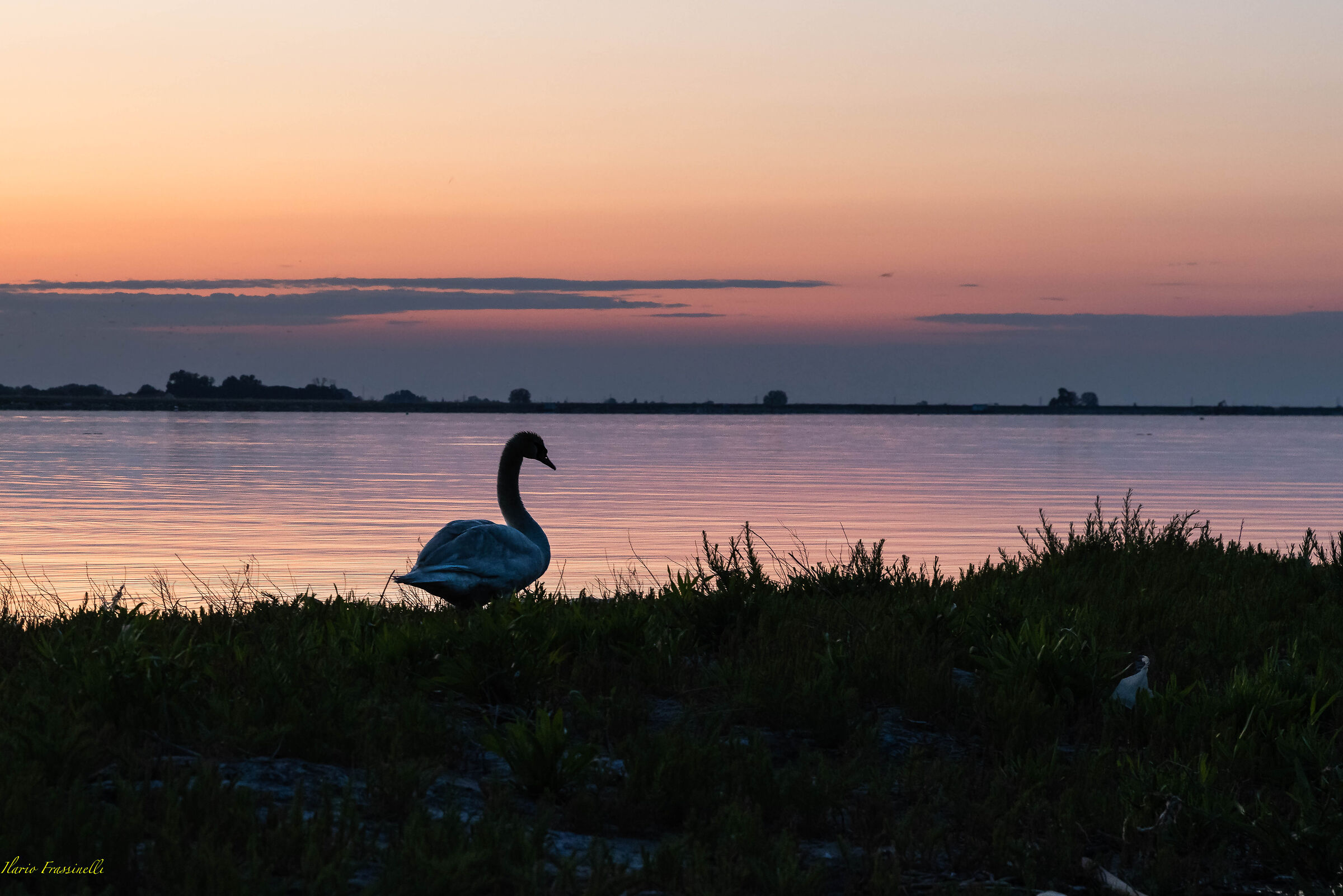 Delta del Po'