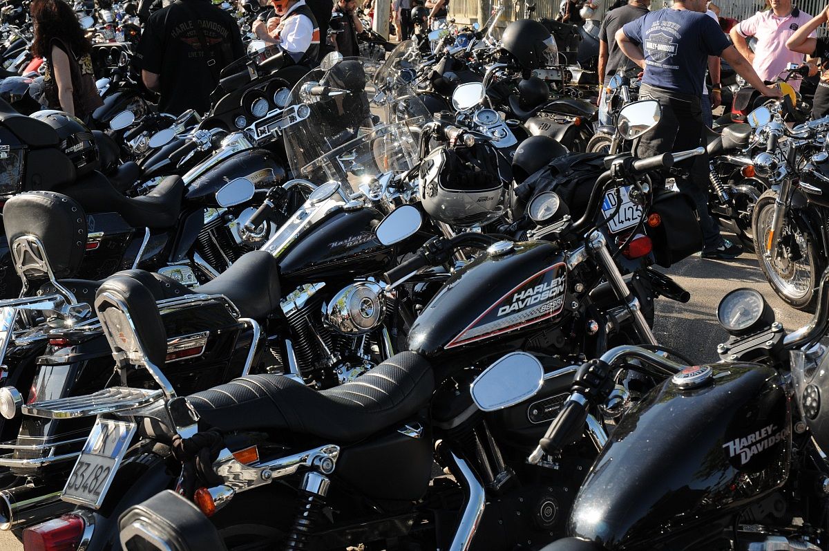 harley DAVIDSON .. what a passion ...