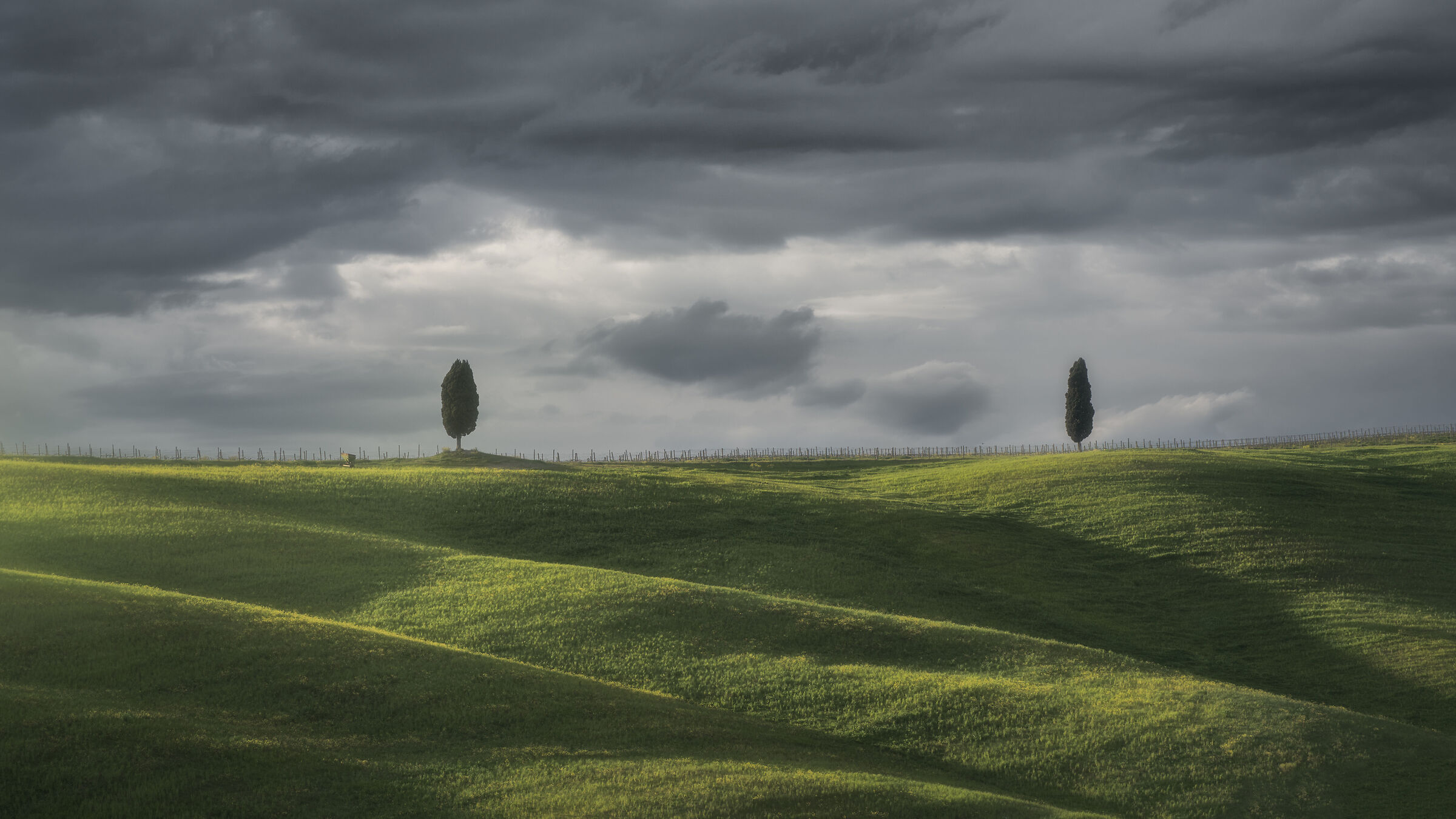 Lonely hills
