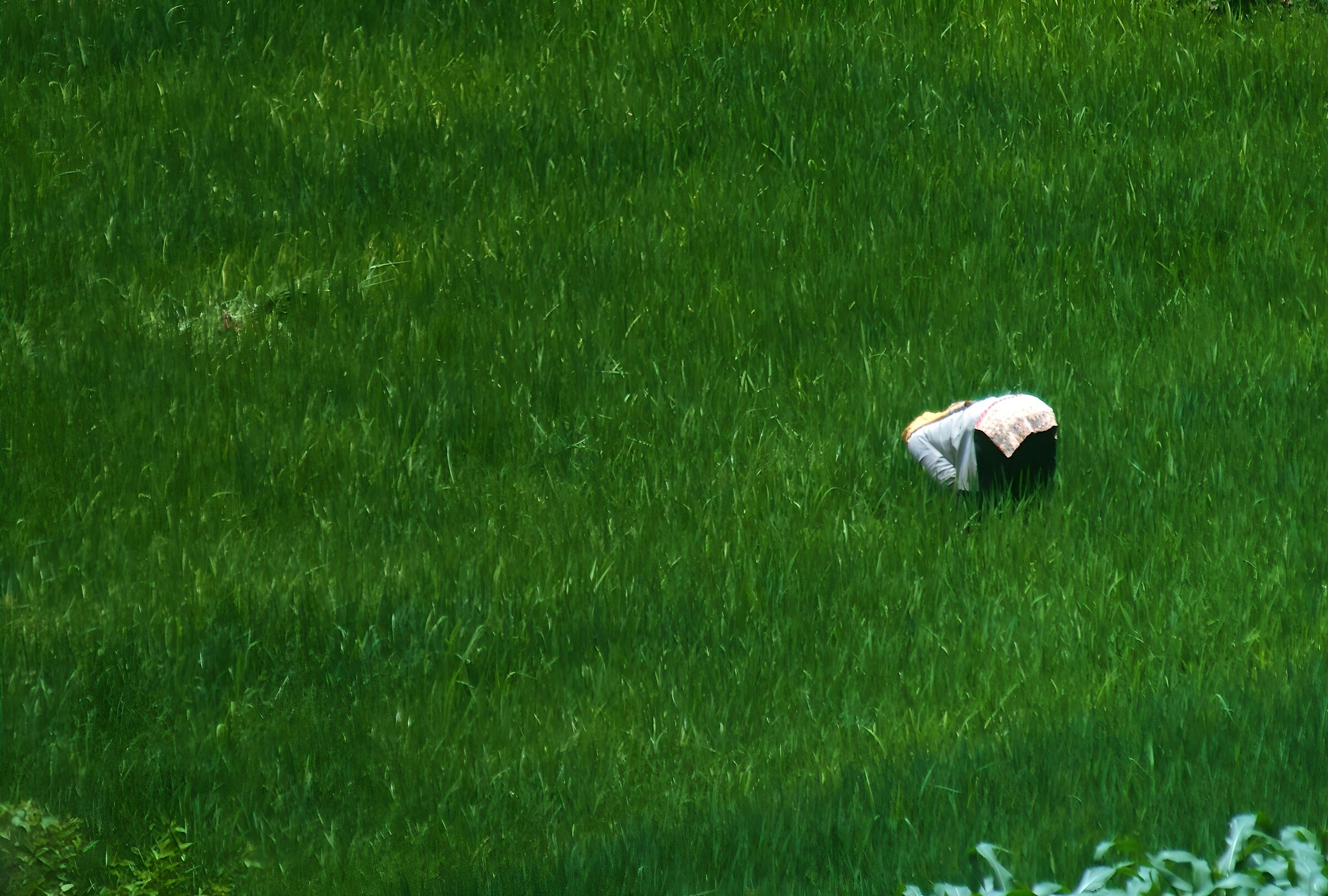 Fatigue bends in the green