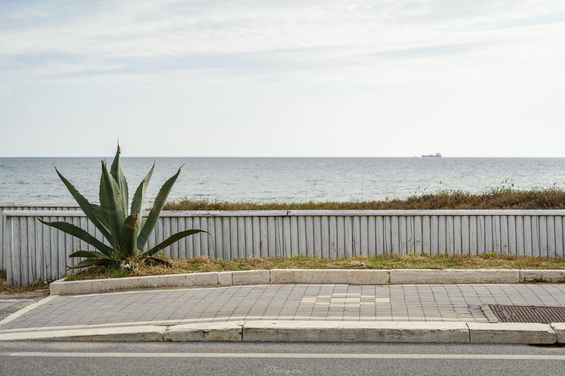Untitled Photo
