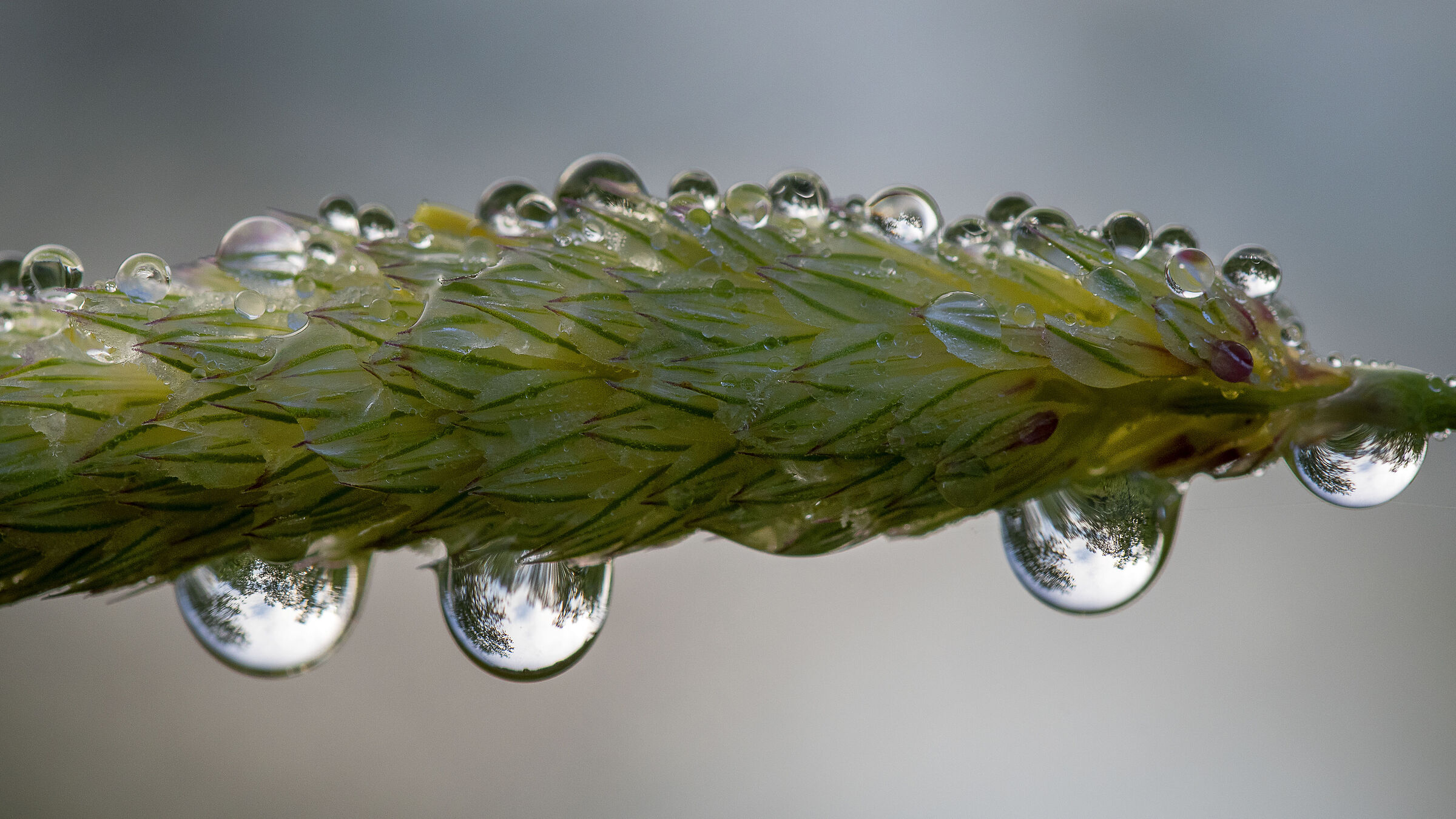 Droplets