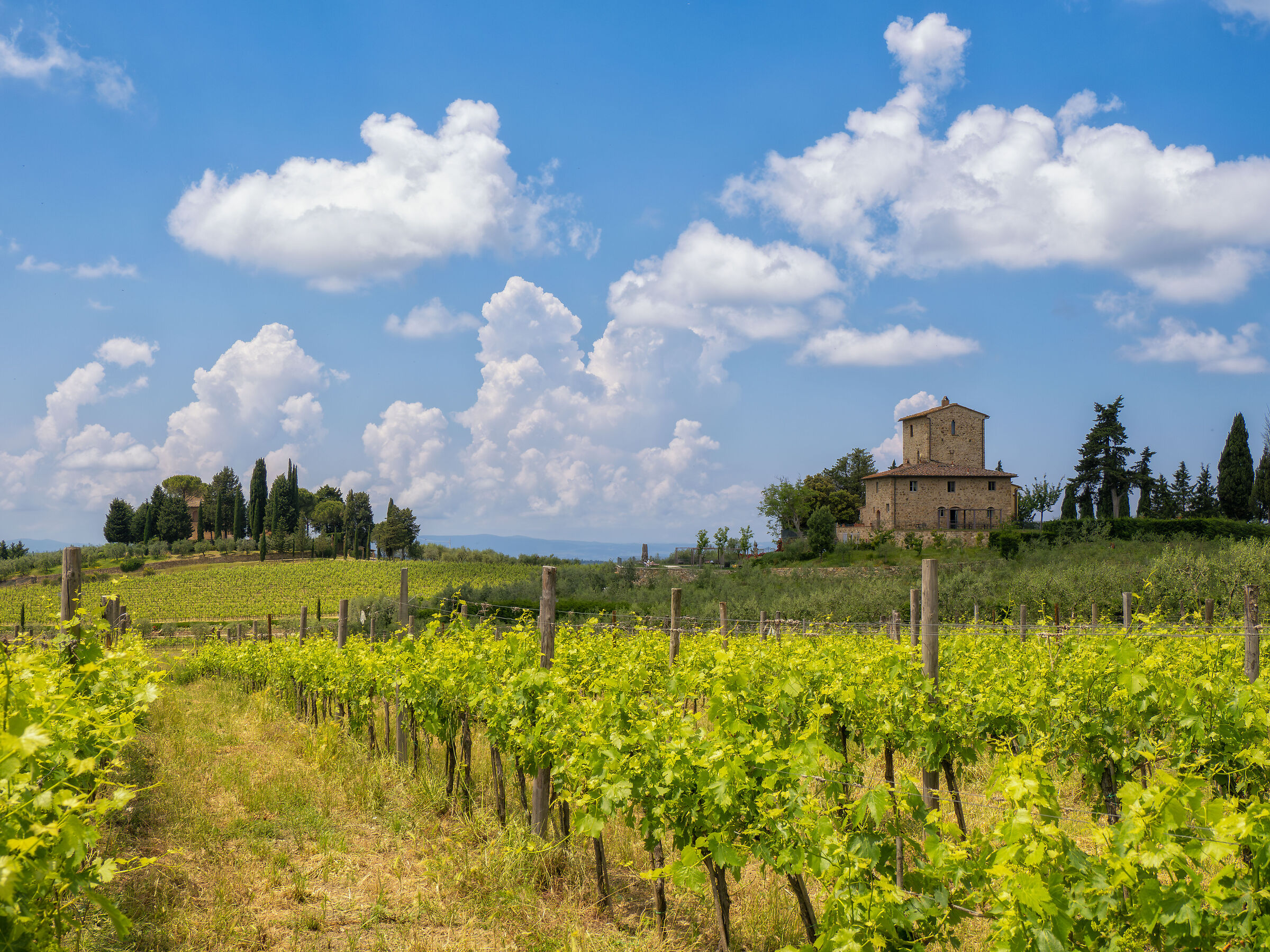 Paesaggi toscani