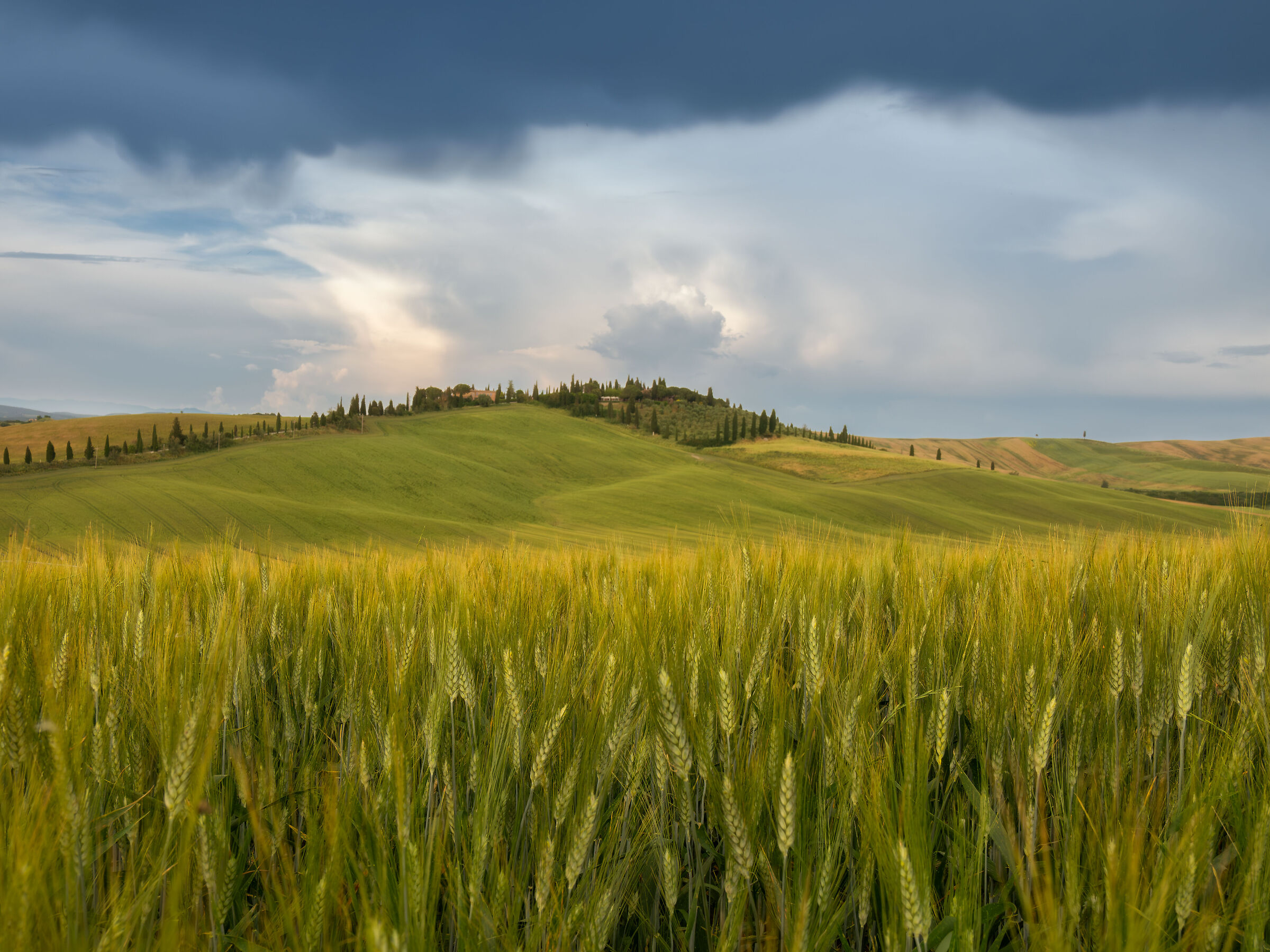 Paesaggi toscani #2