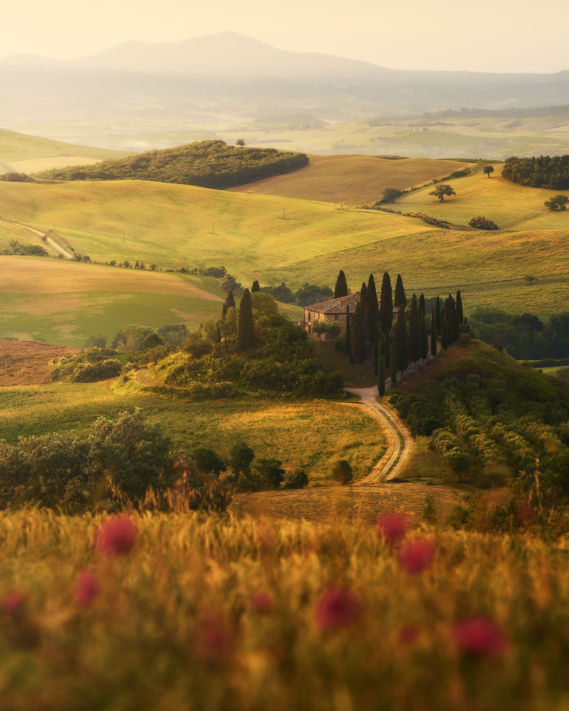 A Serene Tapestry of Tuscany
