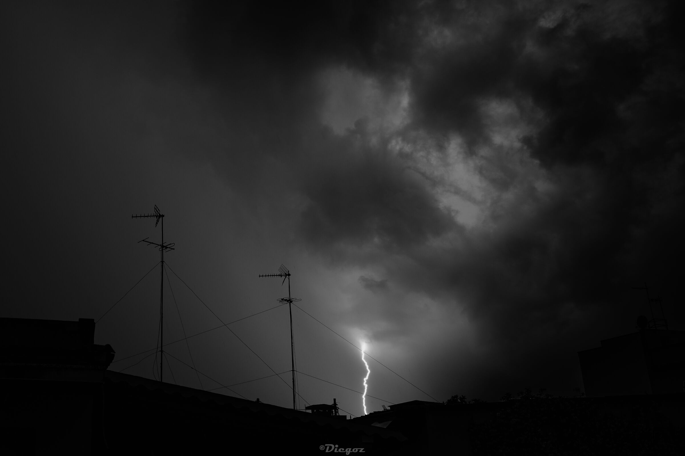 Untitled Photo