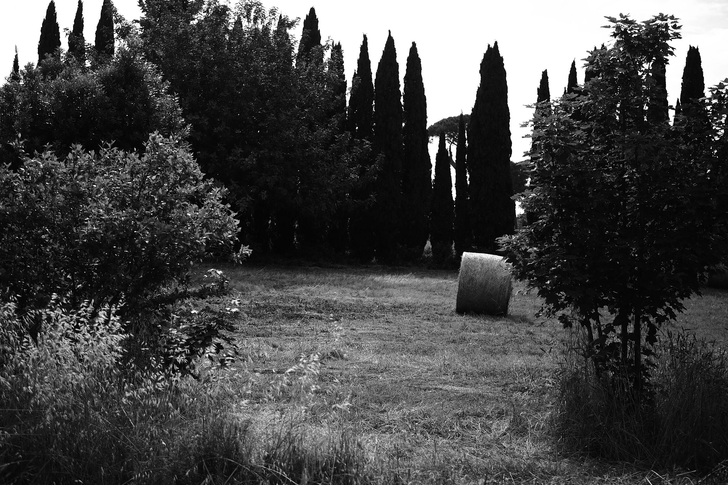 Silence.