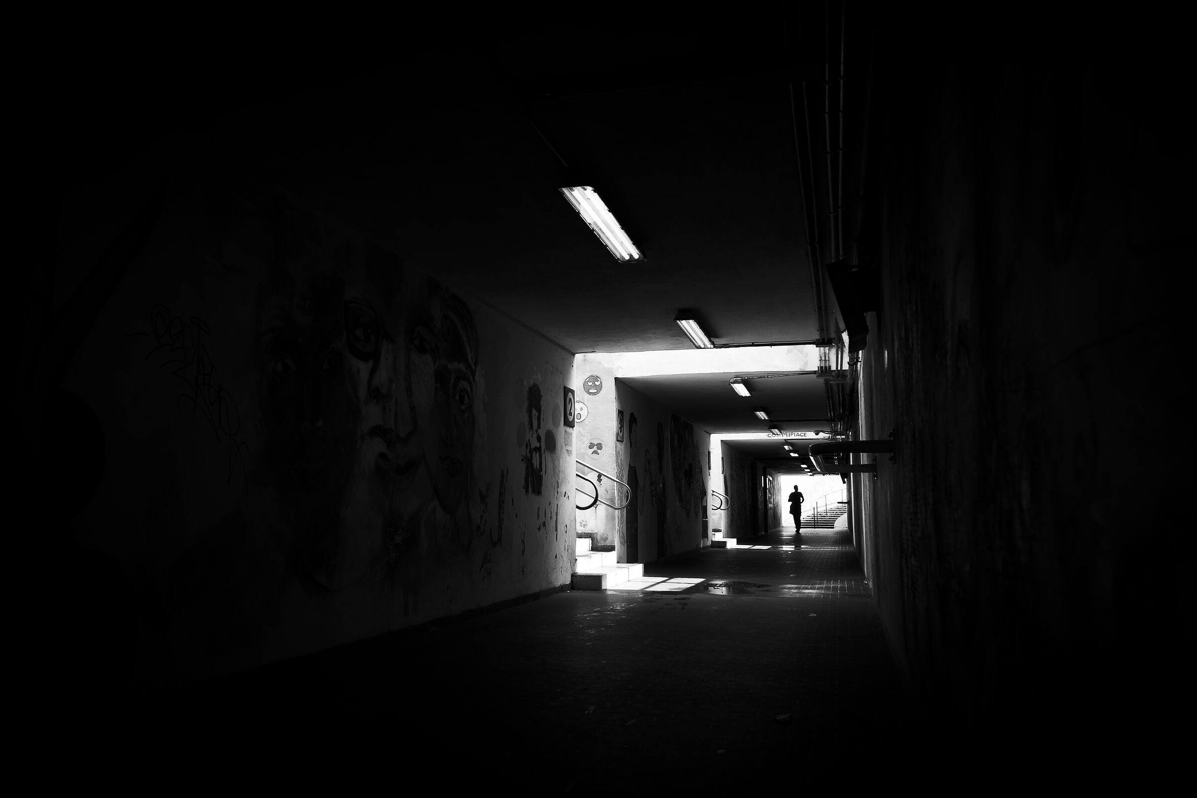 Untitled Photo
