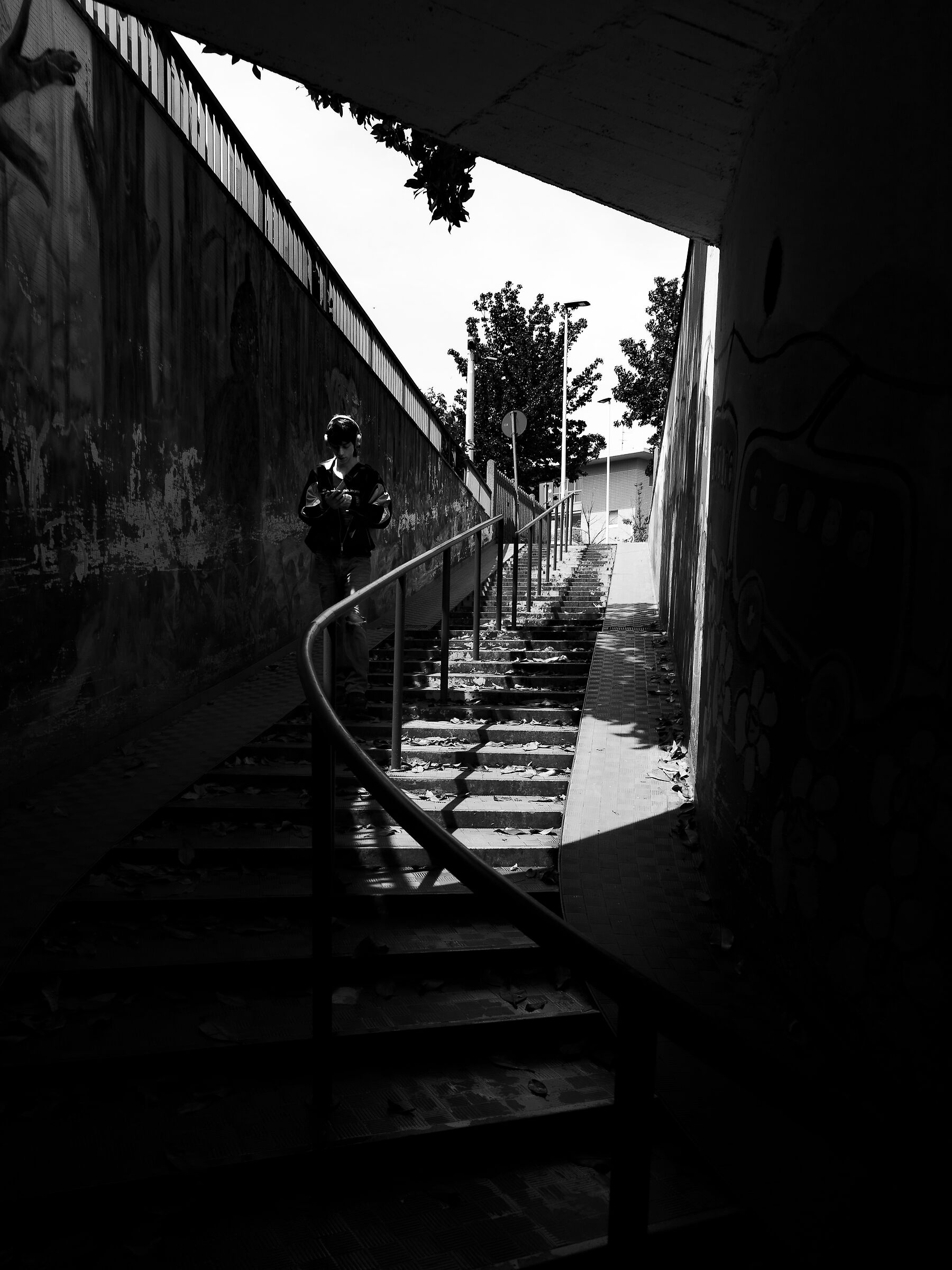 Untitled Photo