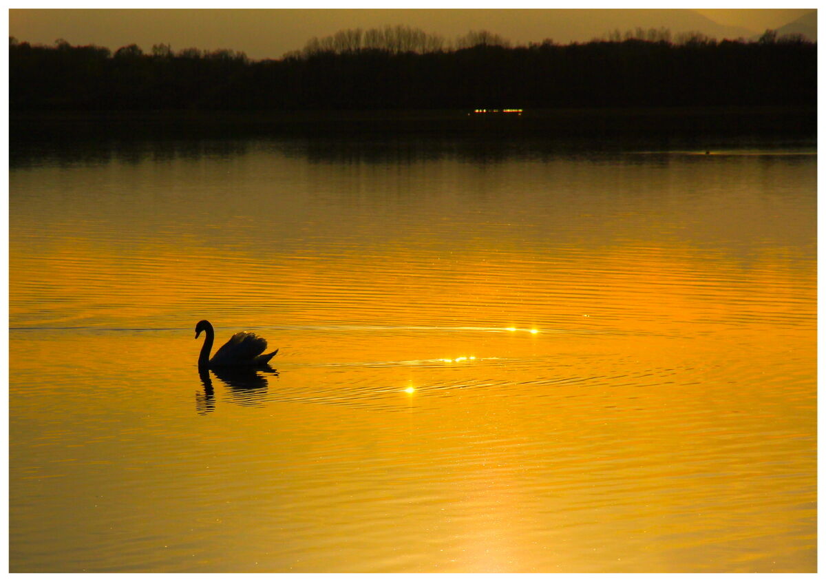 Lago di Viverone (to) 2023
