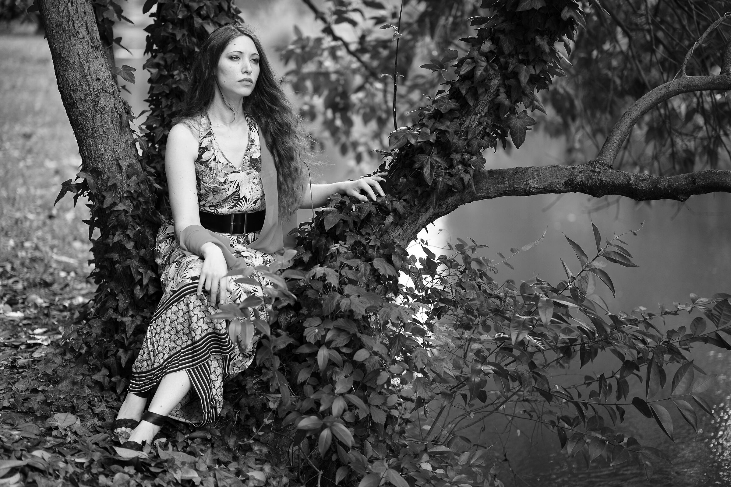 Serena in BN