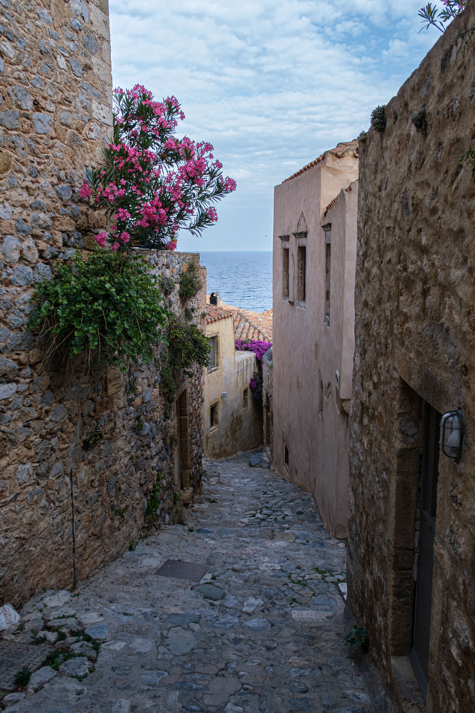 Malvasia from Greece