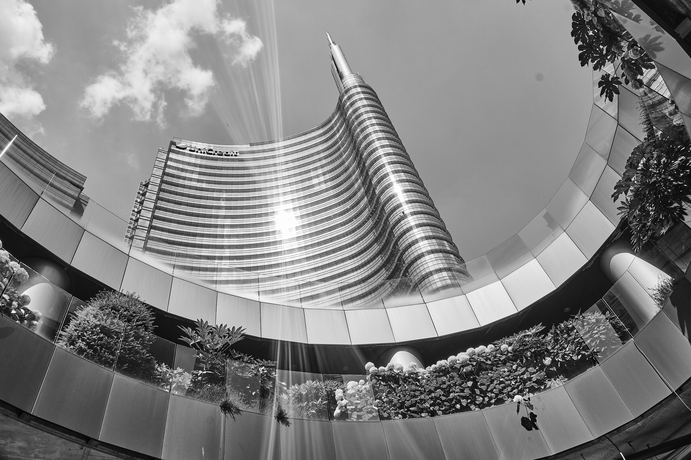 Uno Sguardo al Cielo