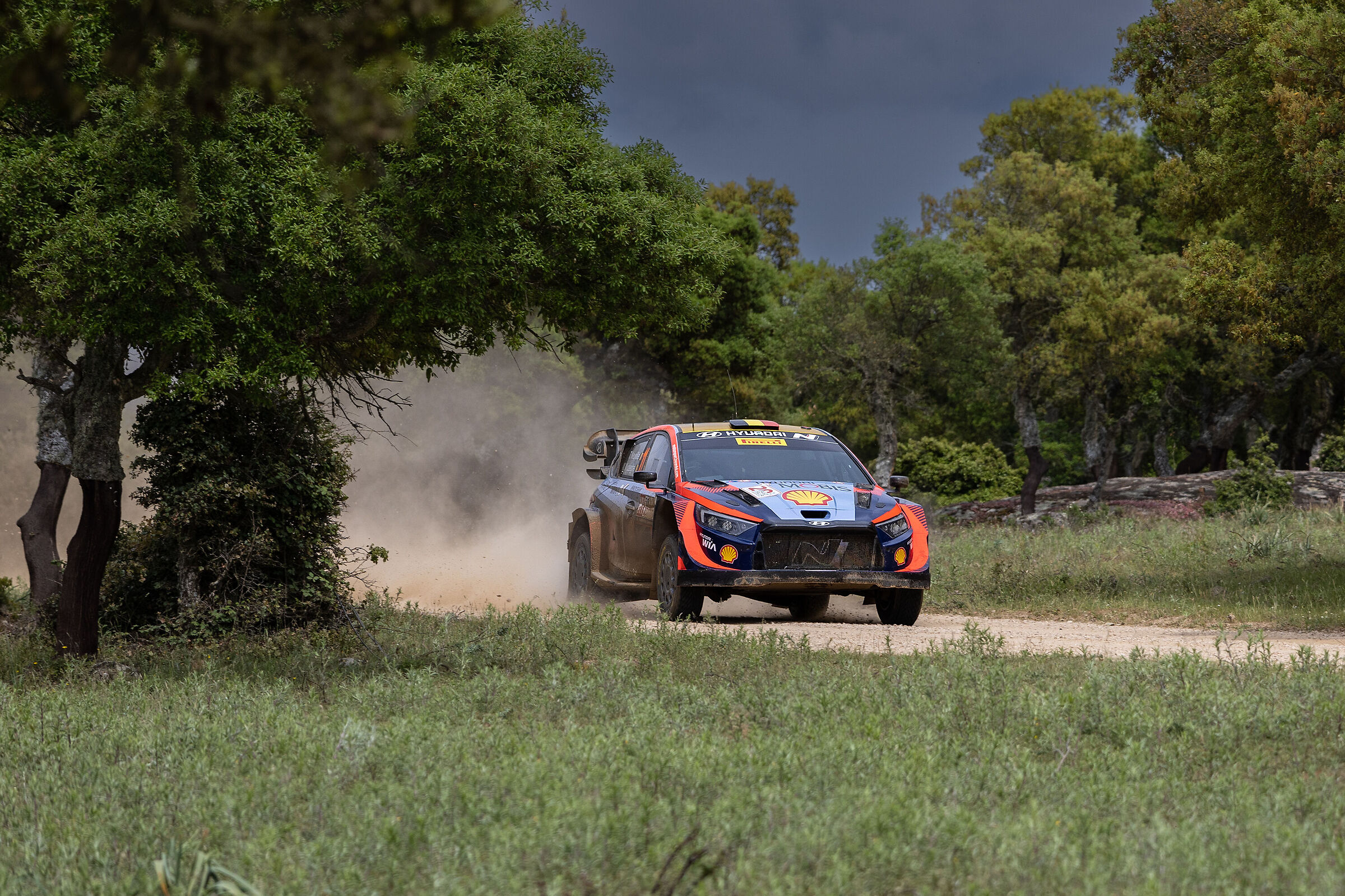 The i20 of Thierry Neuville and Martijn Wydaeghe