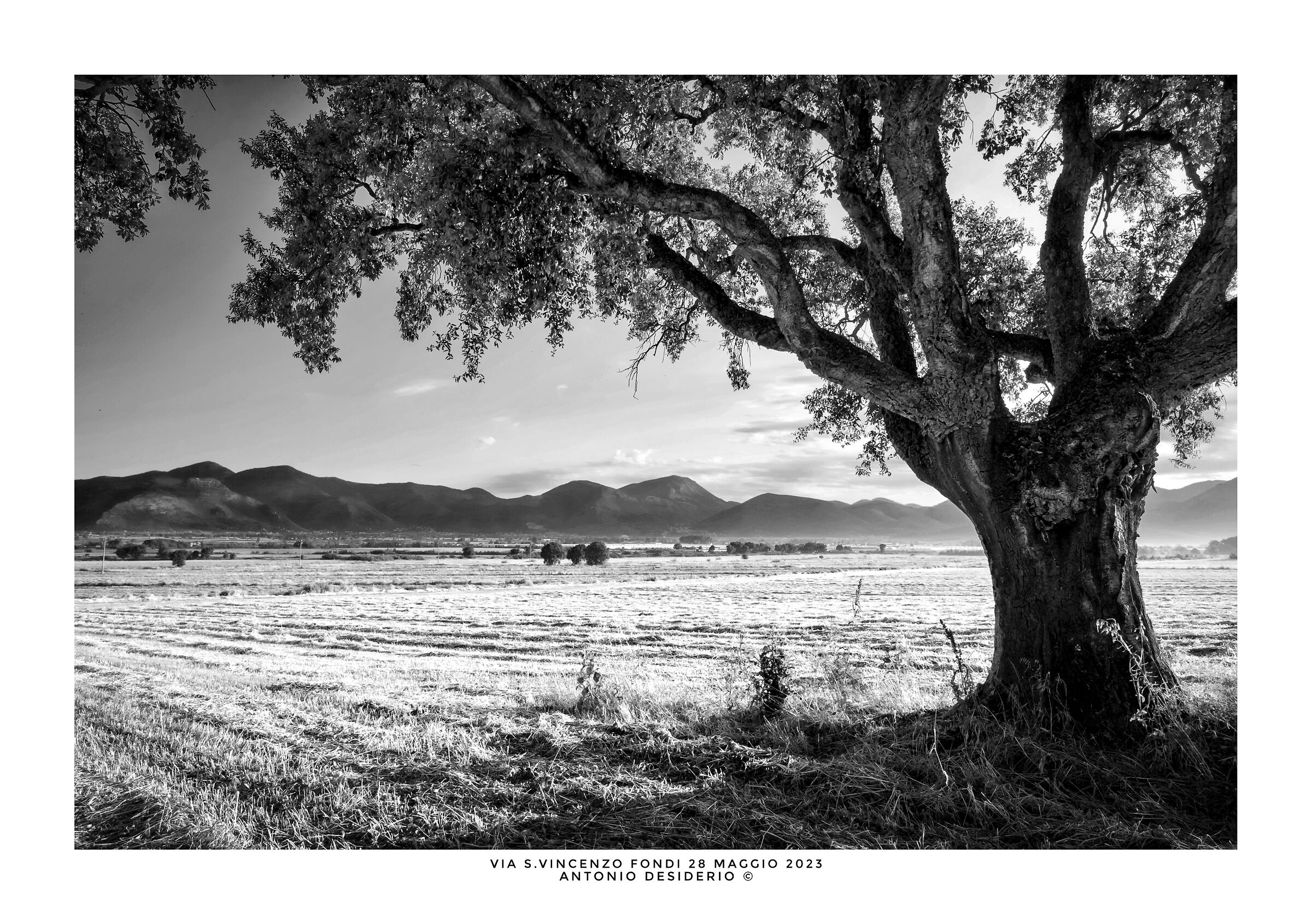 At the beginning of a new day....