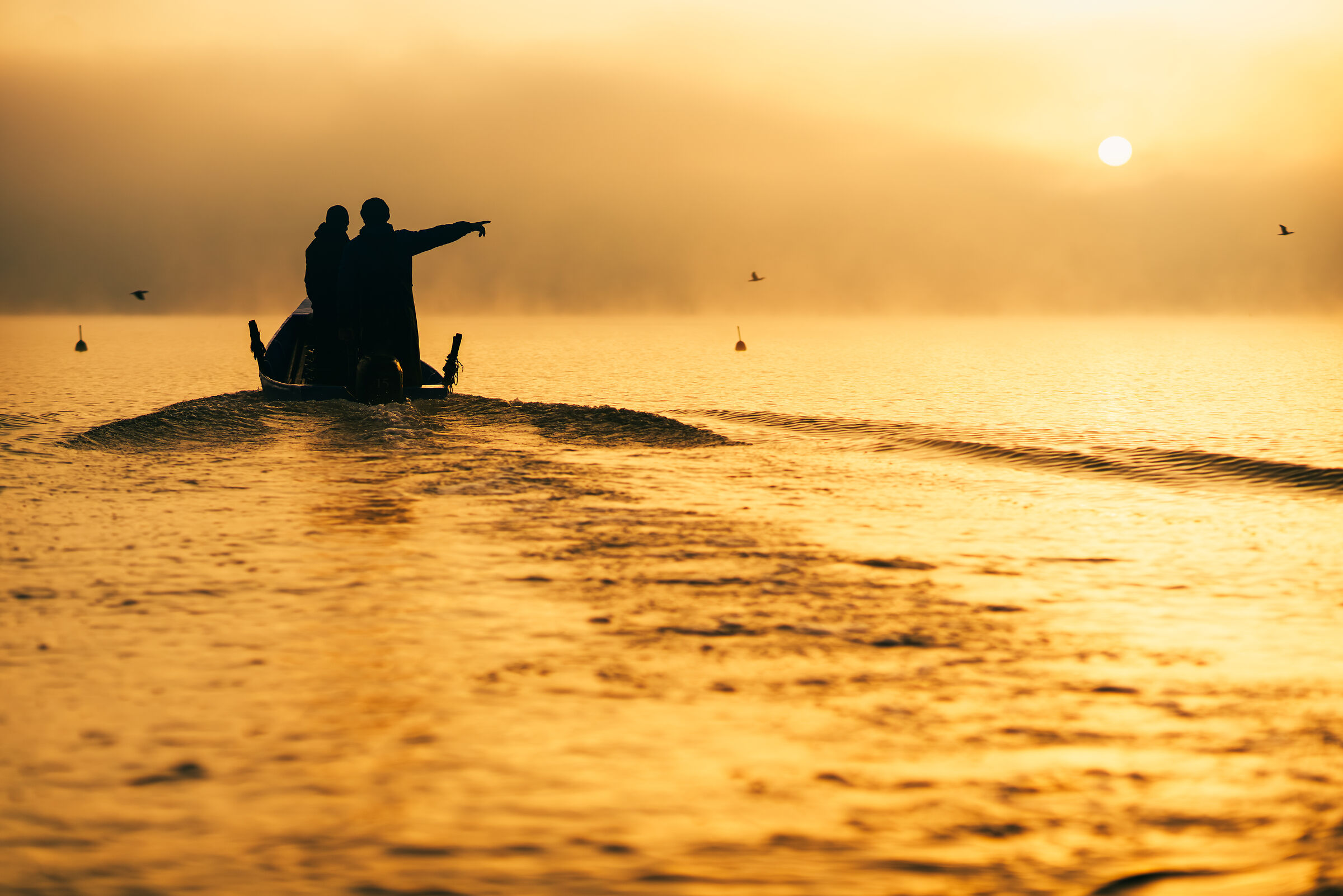 " In the fumes of dawn "