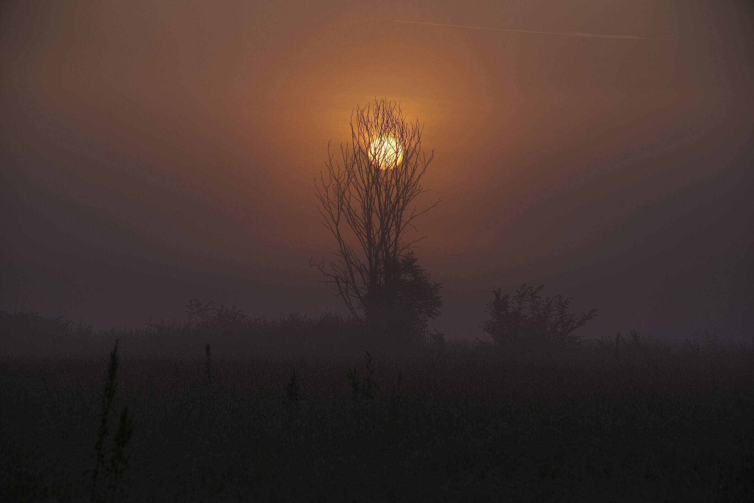 The day is starting... Going to work