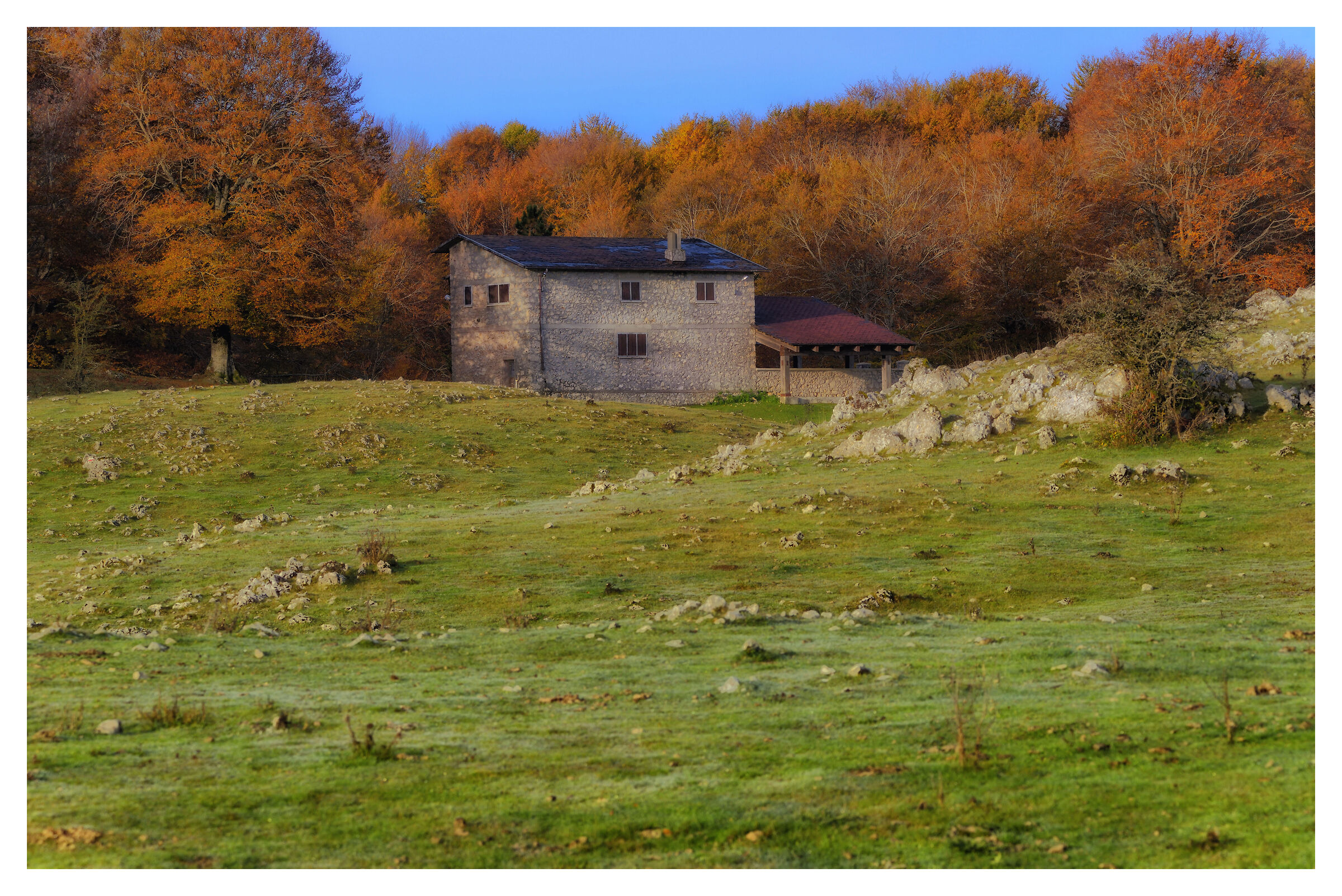 Casetta fuori bosco