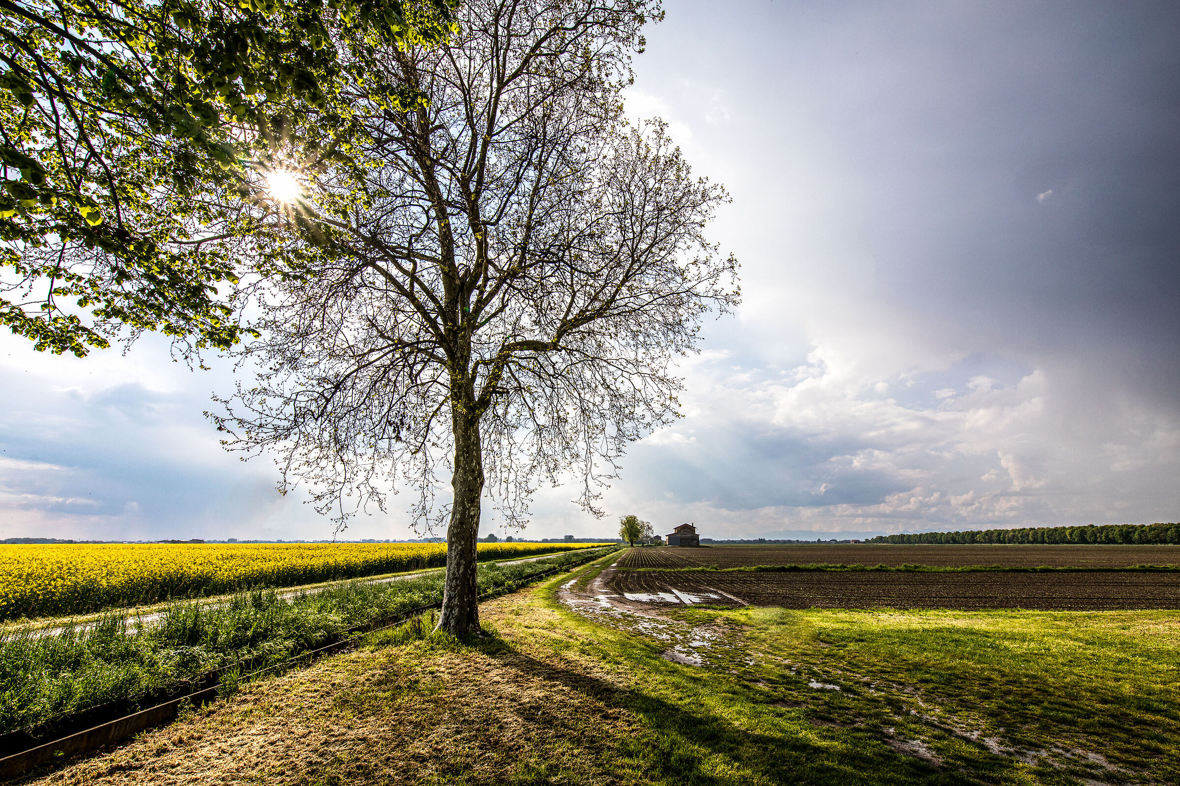 Tra pioggia e sole