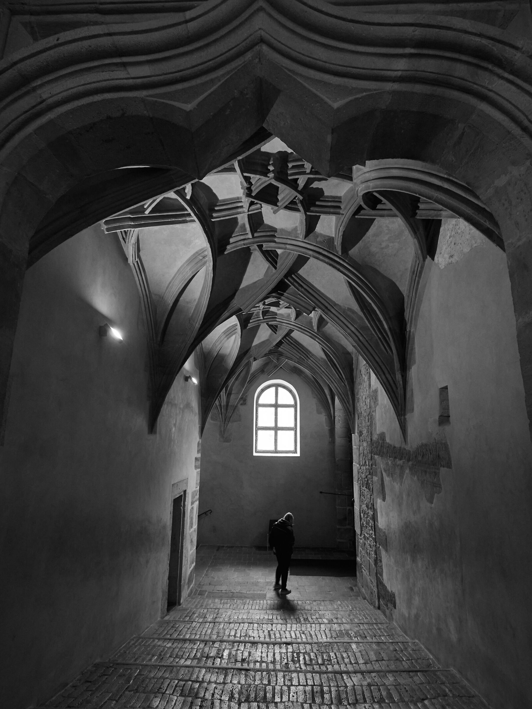 The guardian of Prague Castle